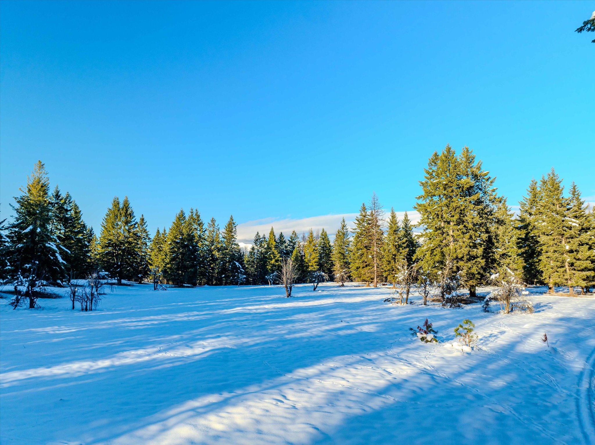 NHN Echo Bay Trail