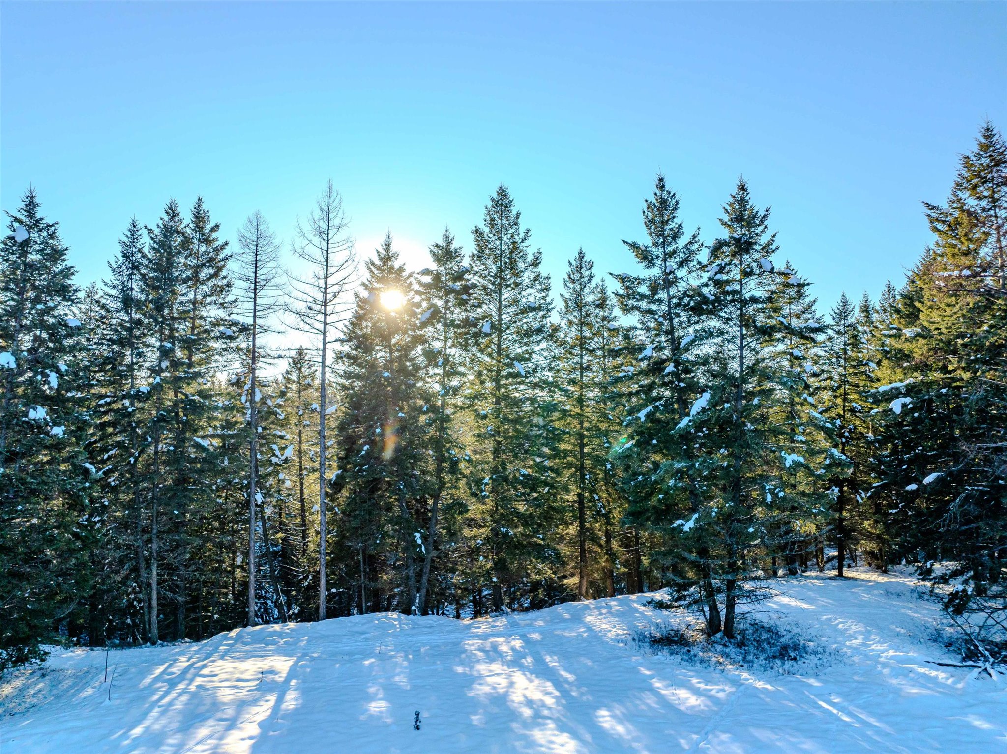 NHN Echo Bay Trail