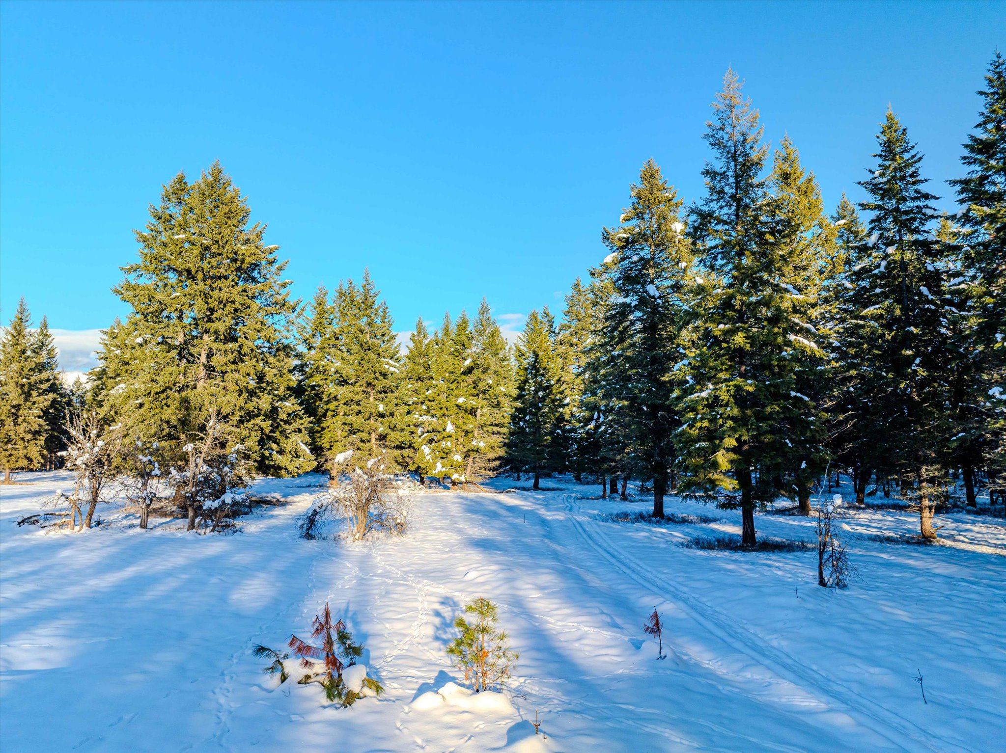 NHN Echo Bay Trail