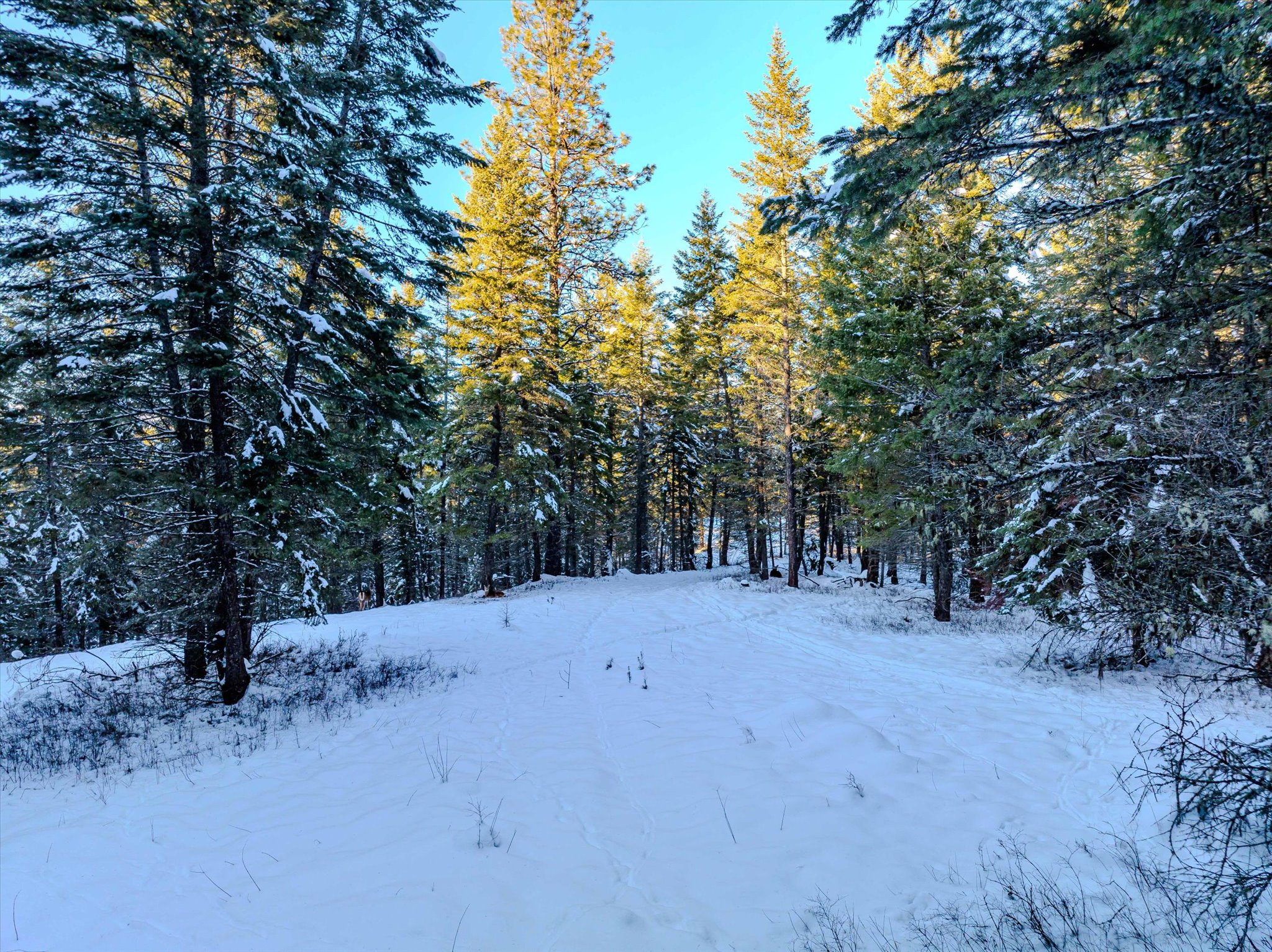 NHN Echo Bay Trail