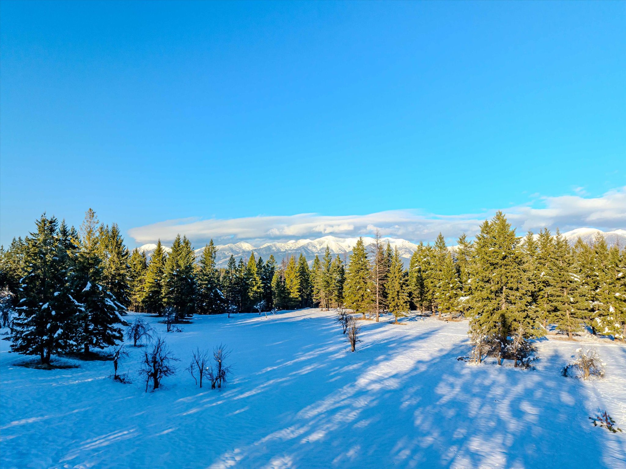 NHN Echo Bay Trail
