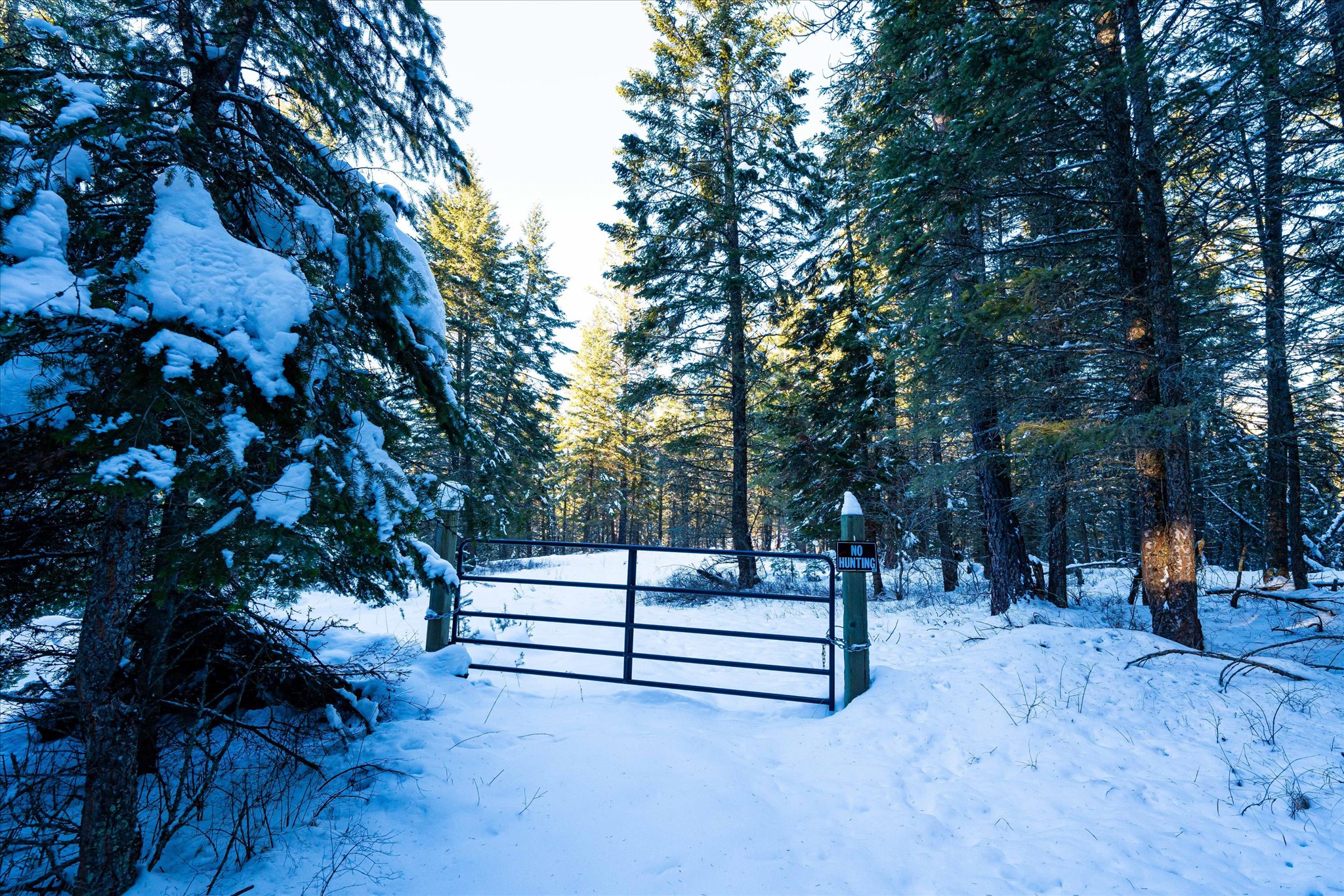NHN Echo Bay Trail