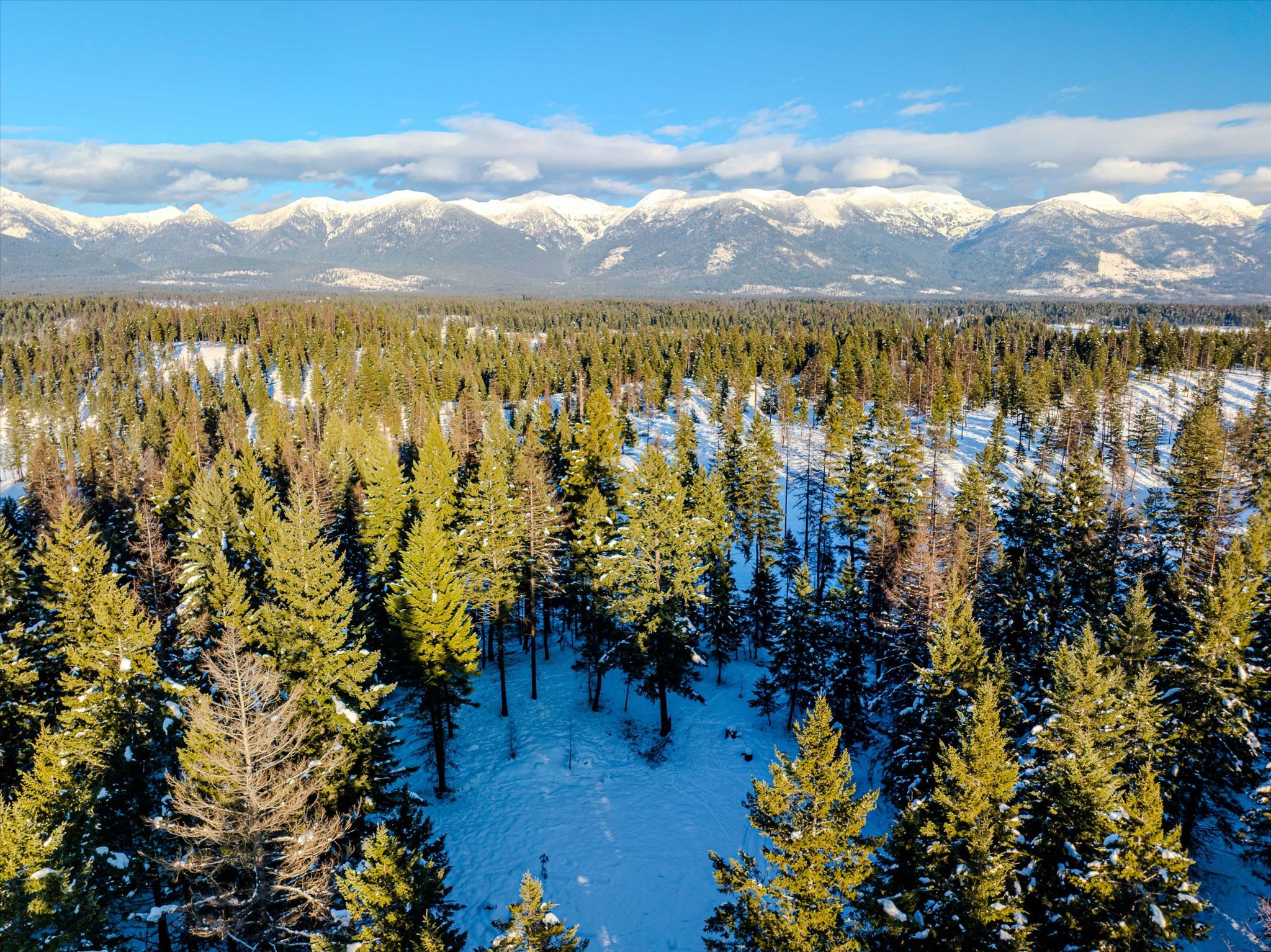 NHN Echo Bay Trail