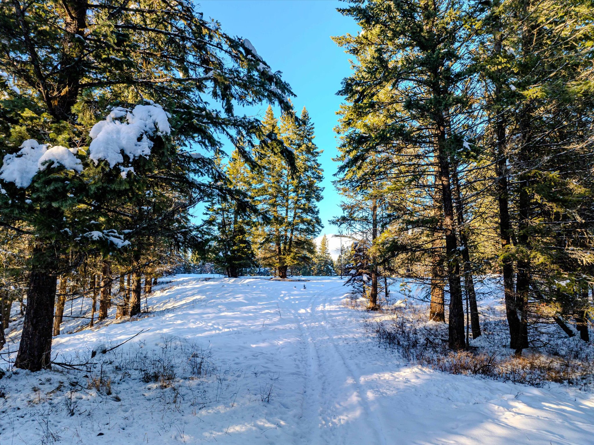 NHN Echo Bay Trail