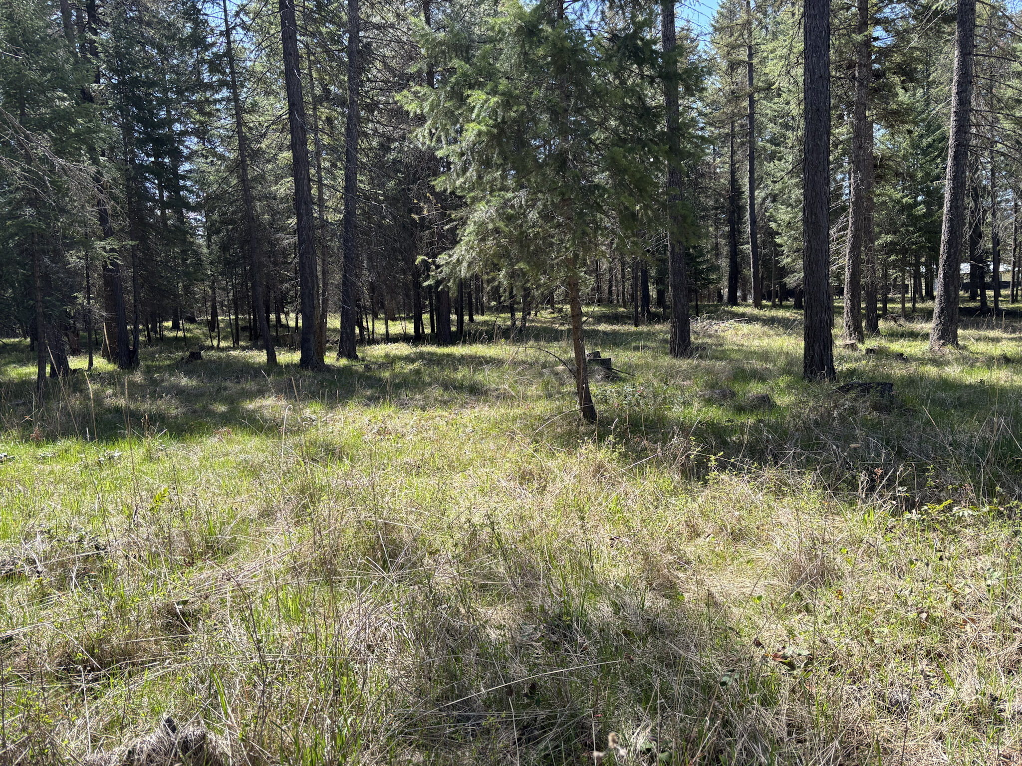 NHN Sanders Loop