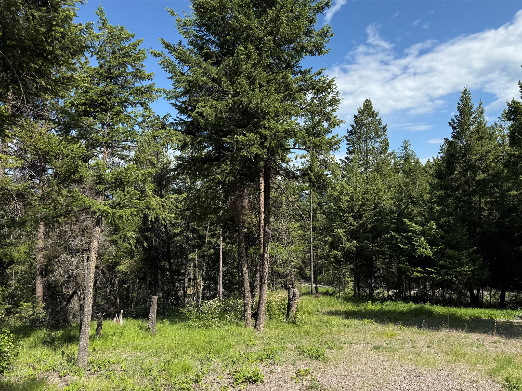 35 Overlook Ridge