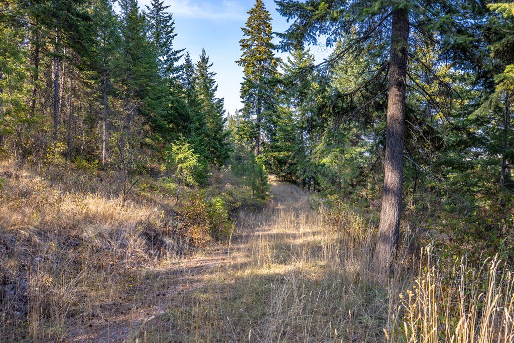 40961 US Hwy 93