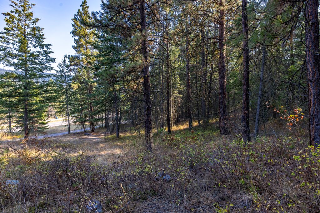 NHN US Hwy 93