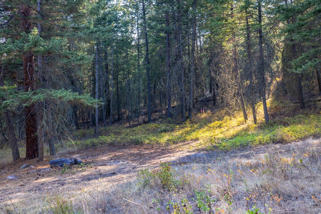 NHN US Hwy 93