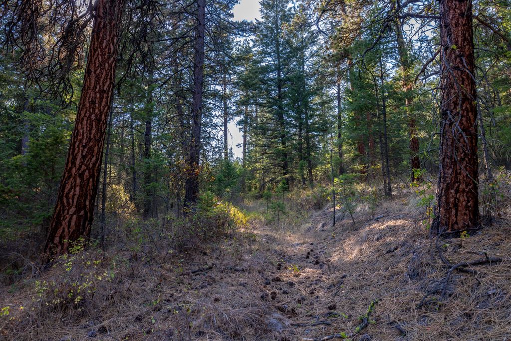 NHN US Hwy 93