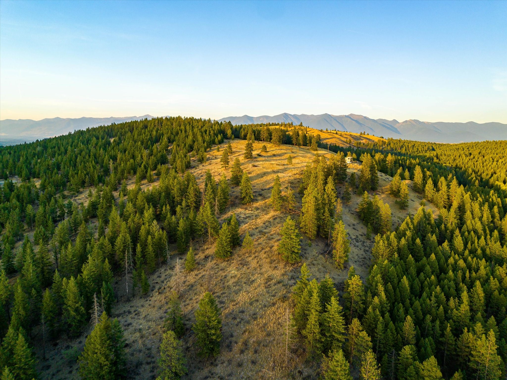 NHN Black Lake Road