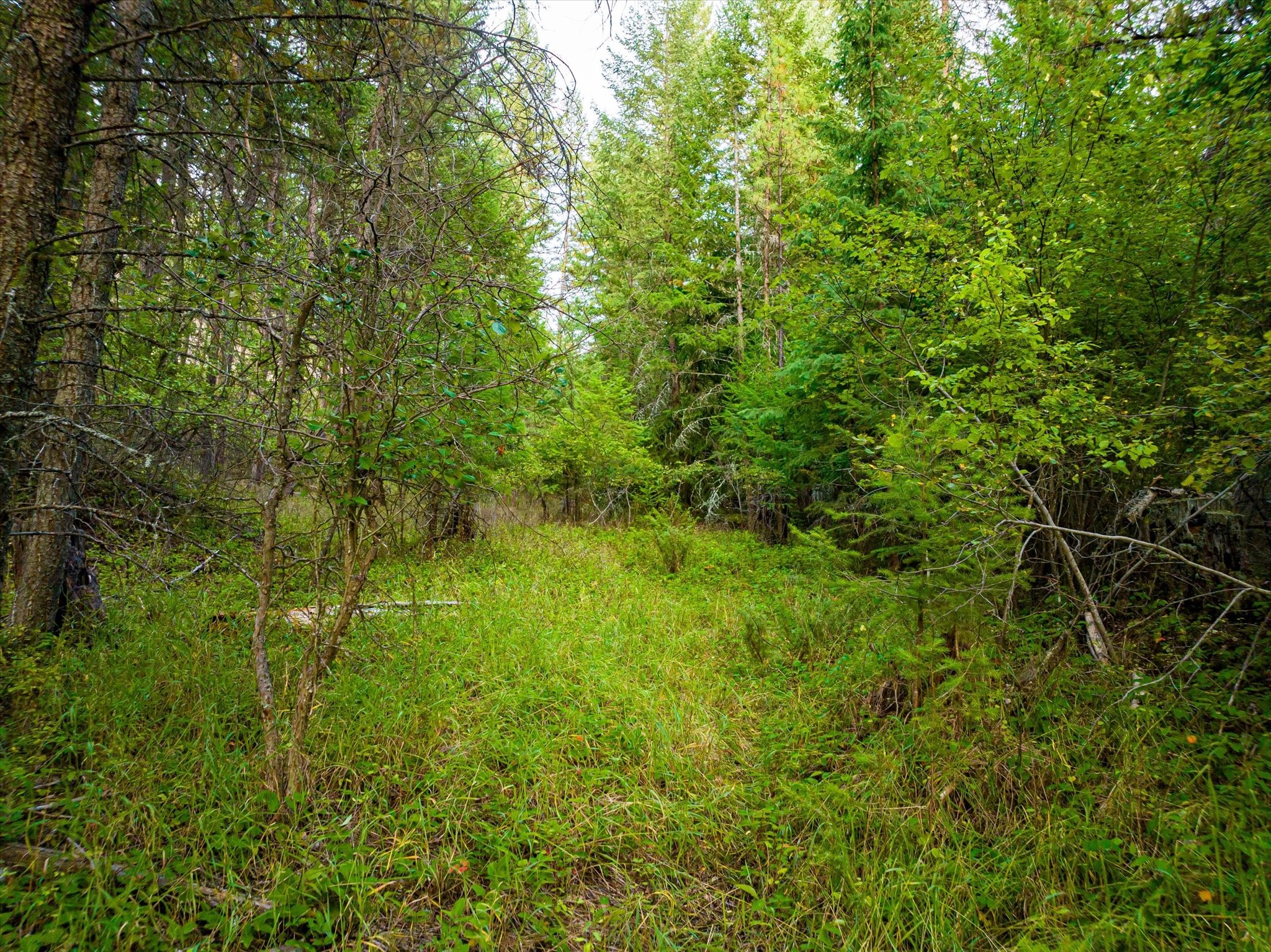 NHN Black Lake Road