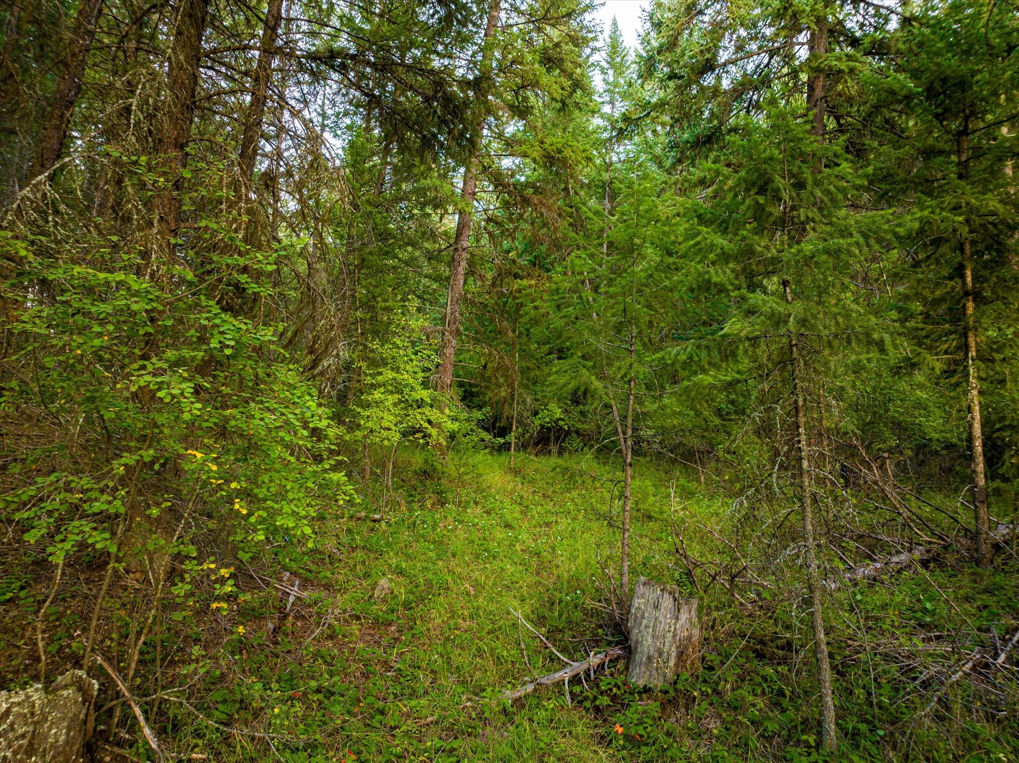 NHN Black Lake Road