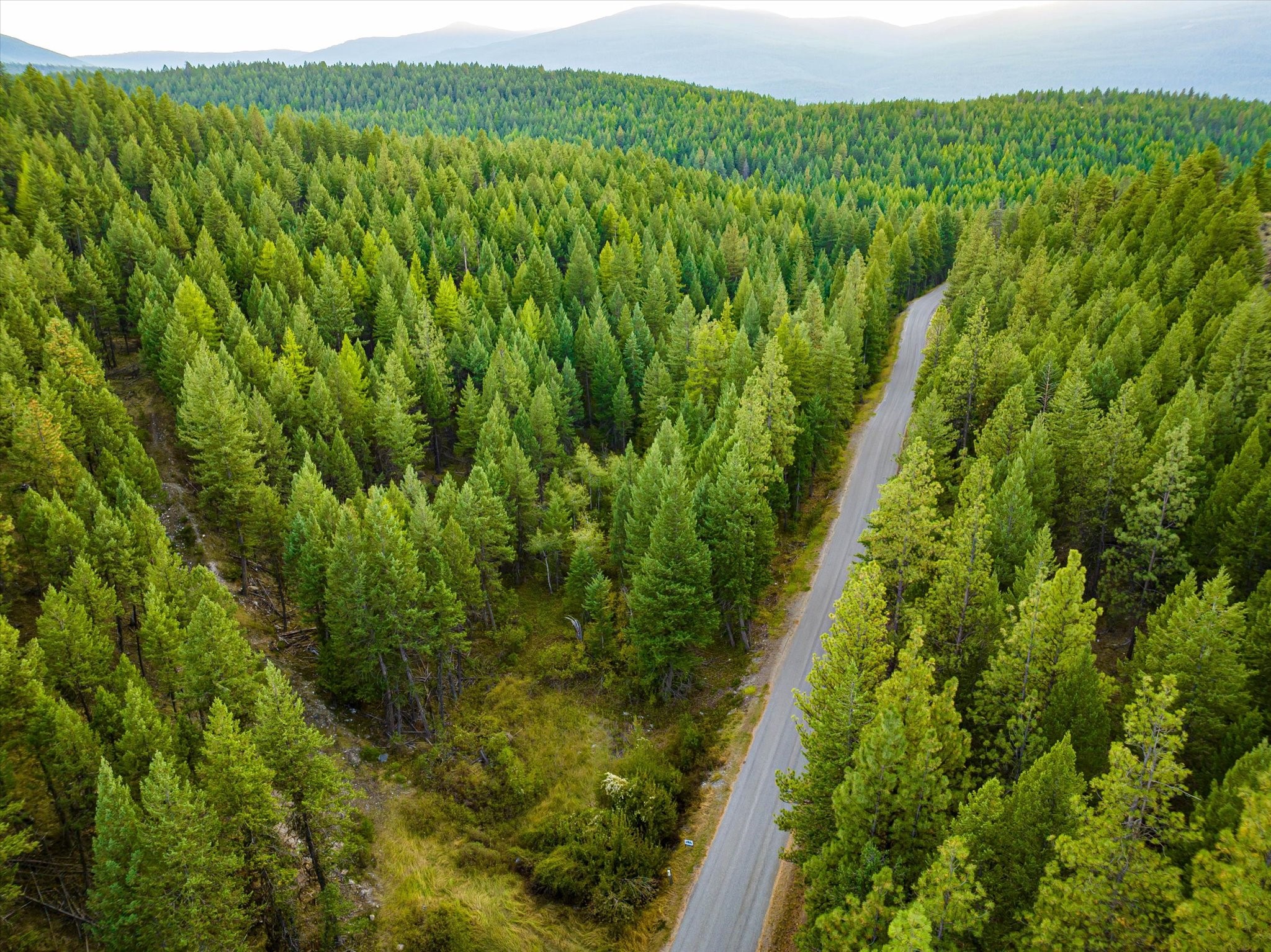 NHN Black Lake Road