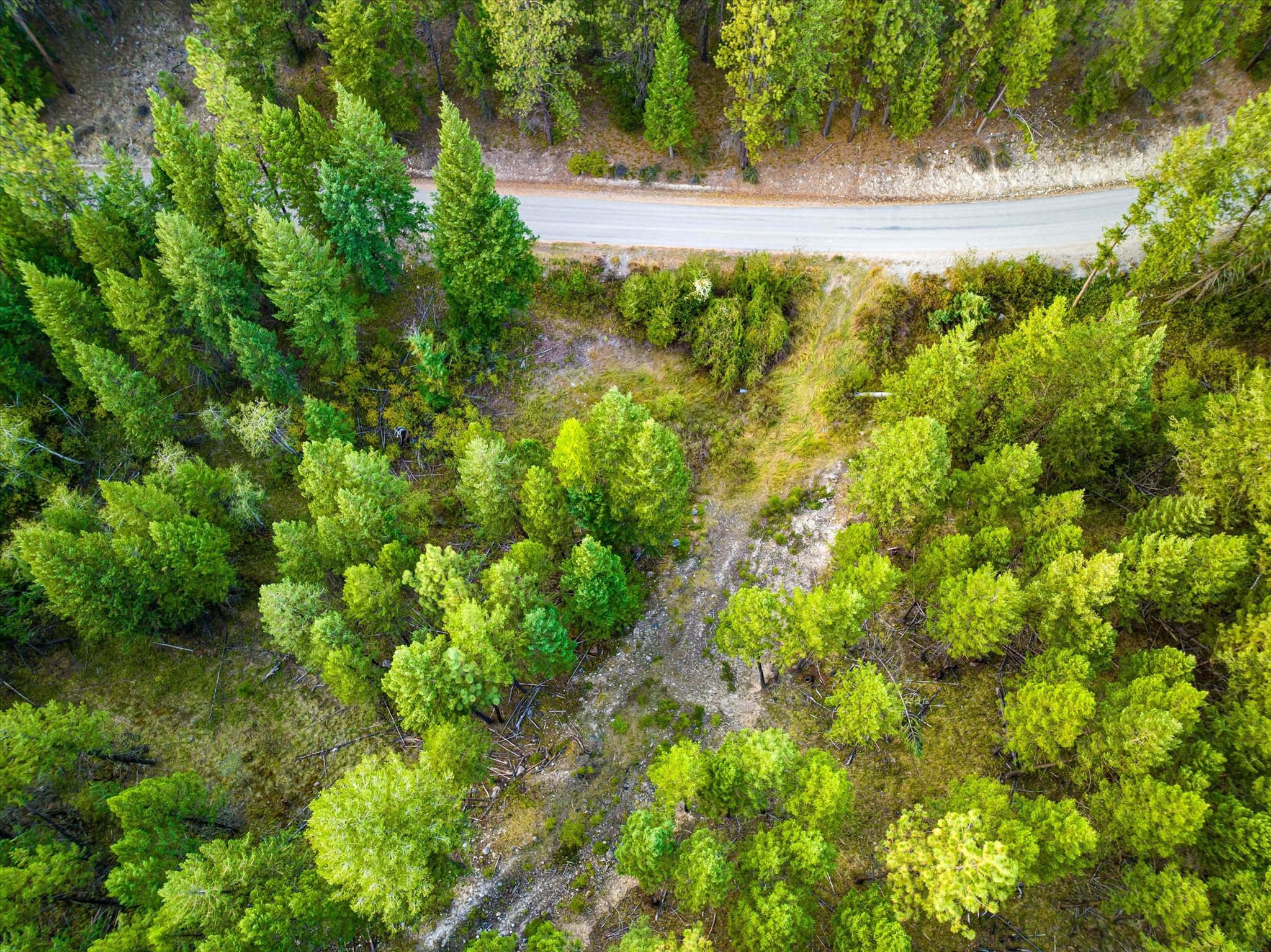NHN Black Lake Road