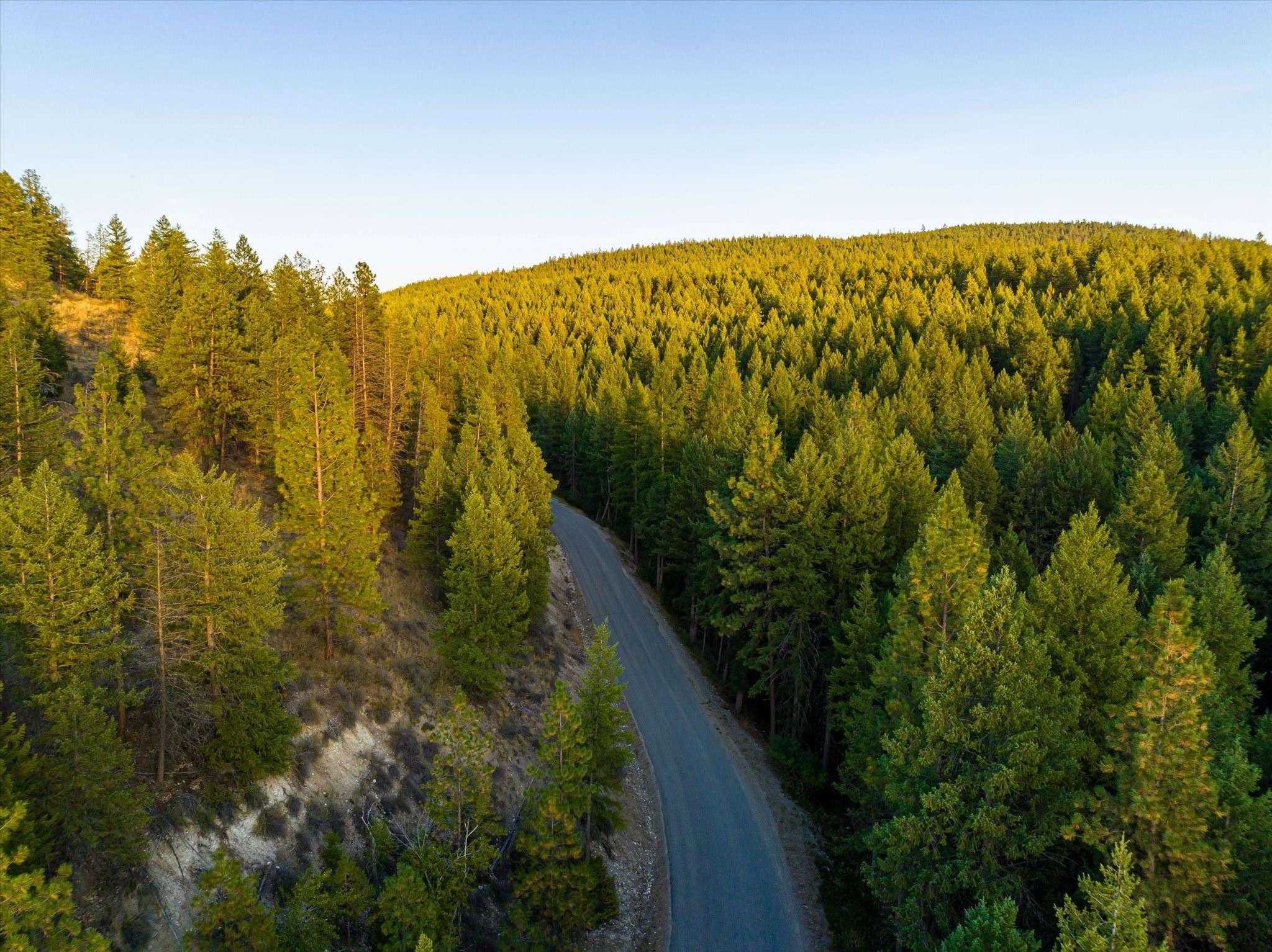 NHN Black Lake Road