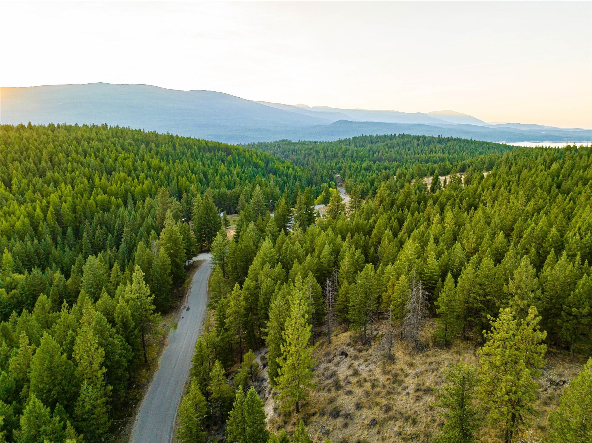 NHN Black Lake Road
