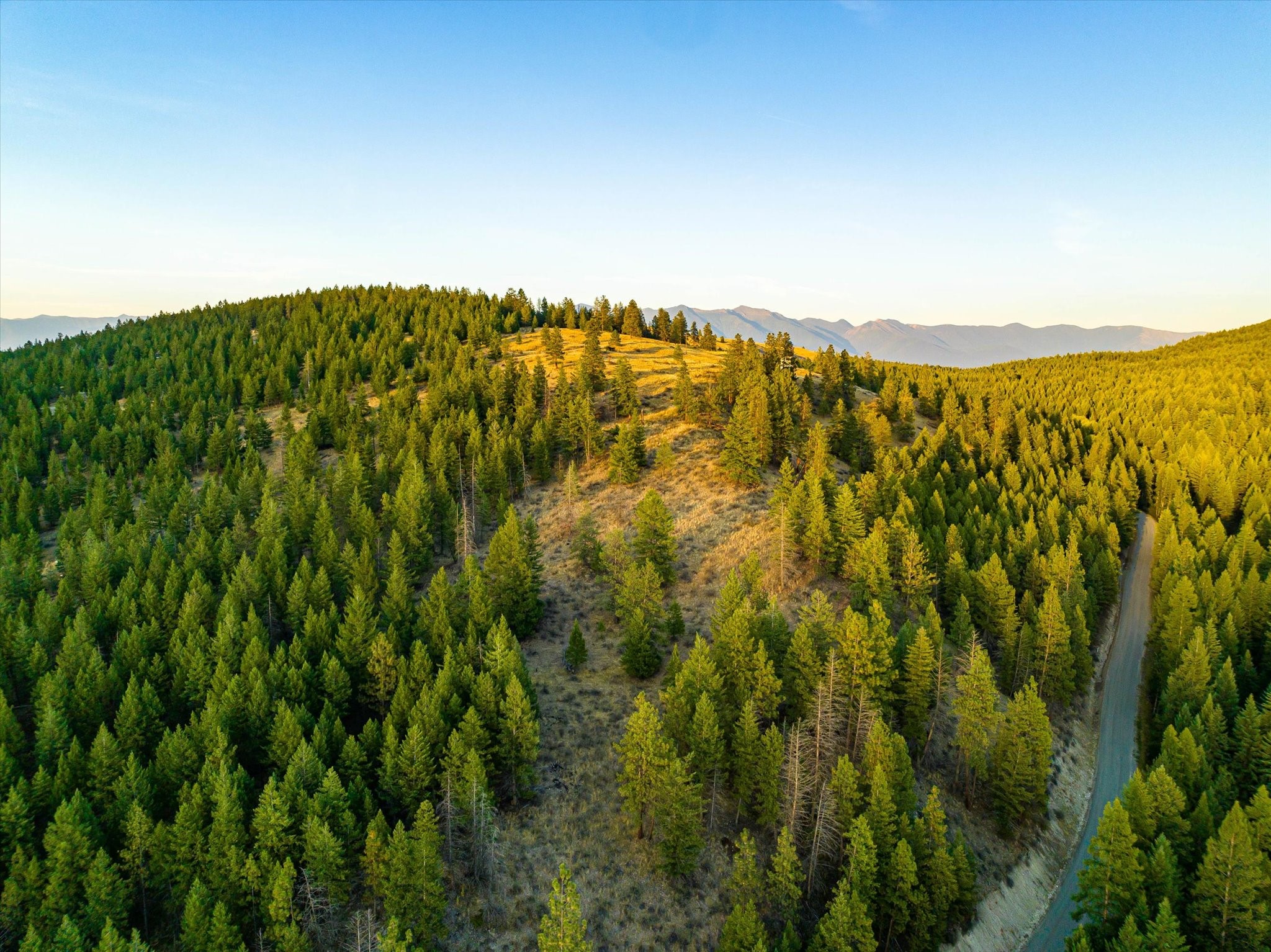 NHN Black Lake Road