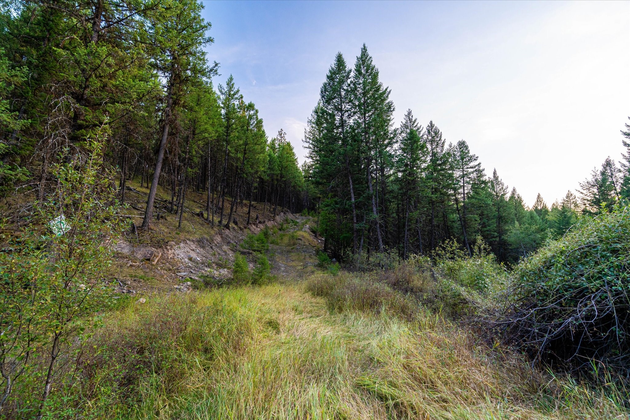 NHN Black Lake Road