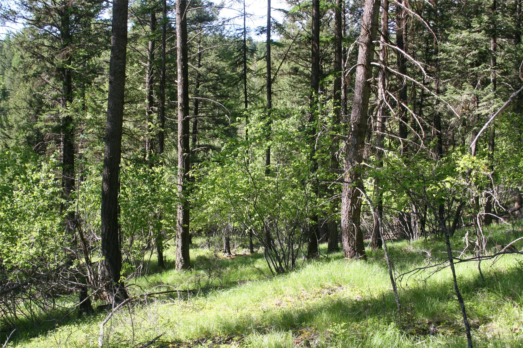 1450 Kienas Road