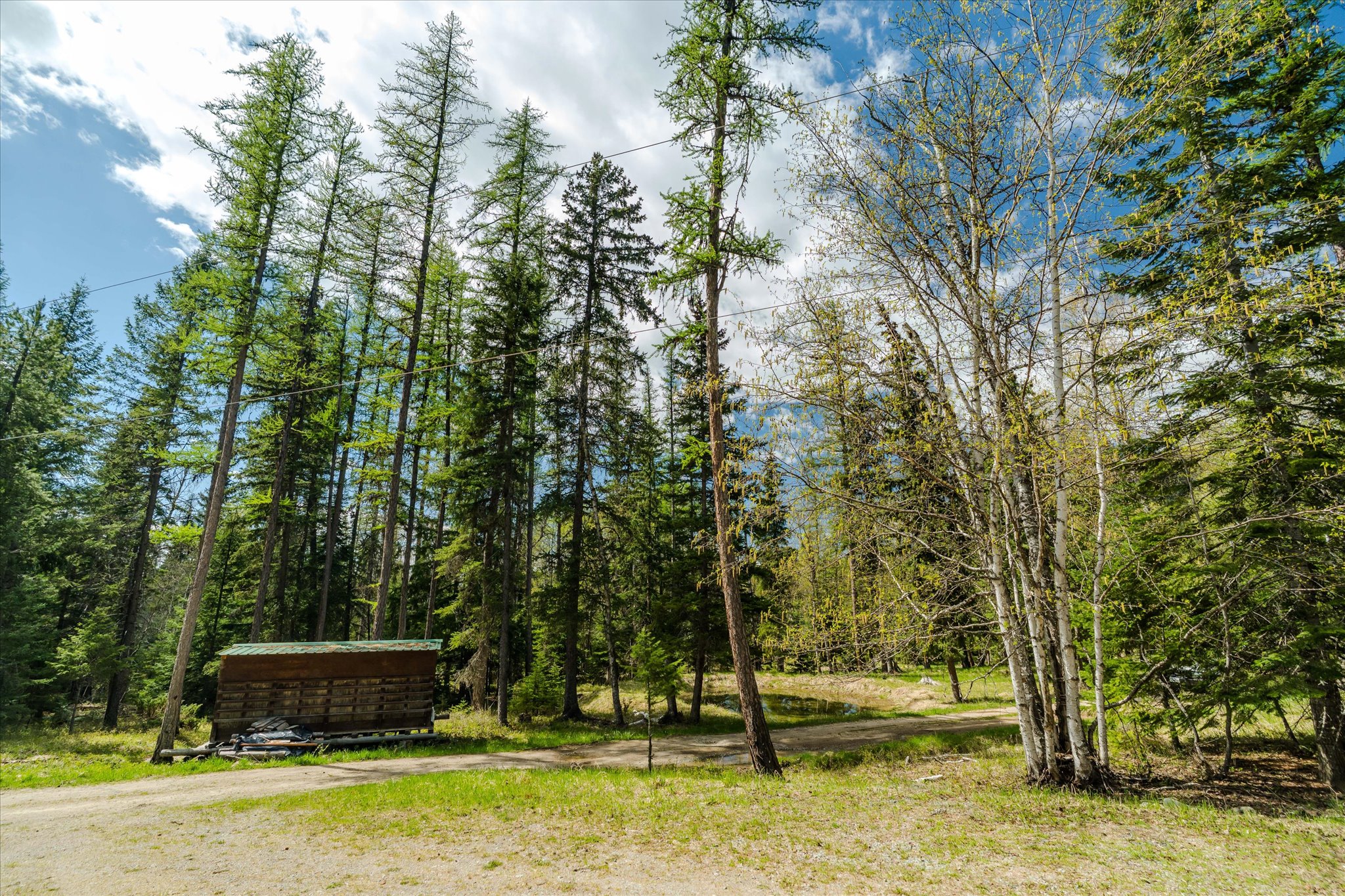 313 Griffith Creek Road