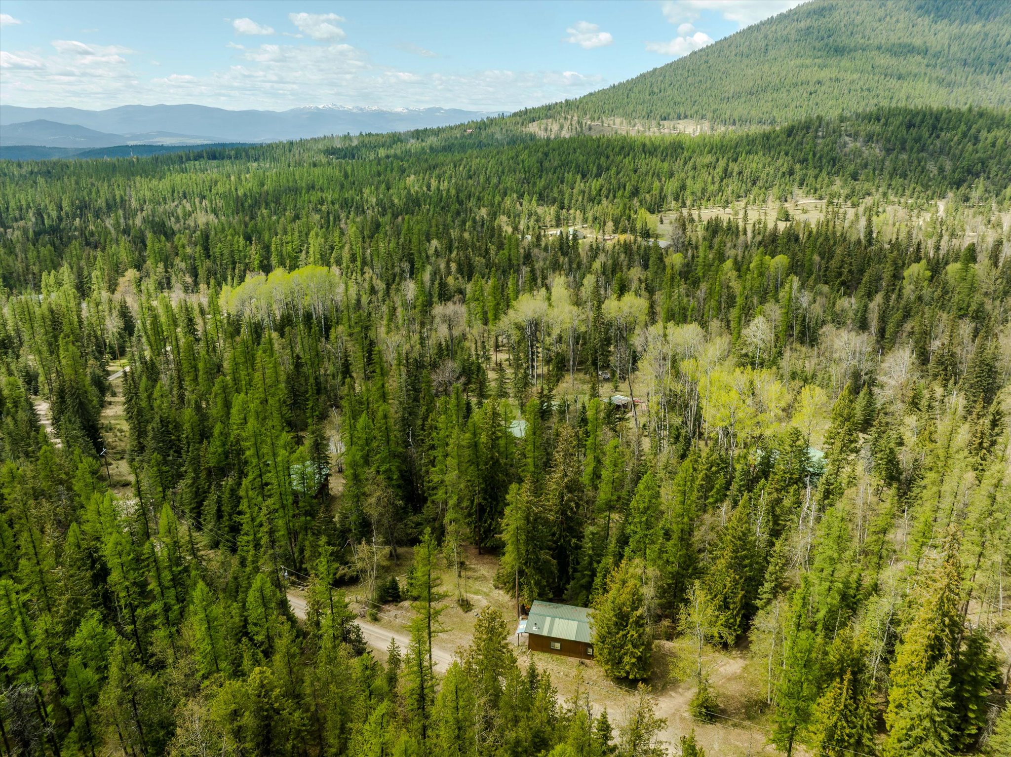 313 Griffith Creek Road