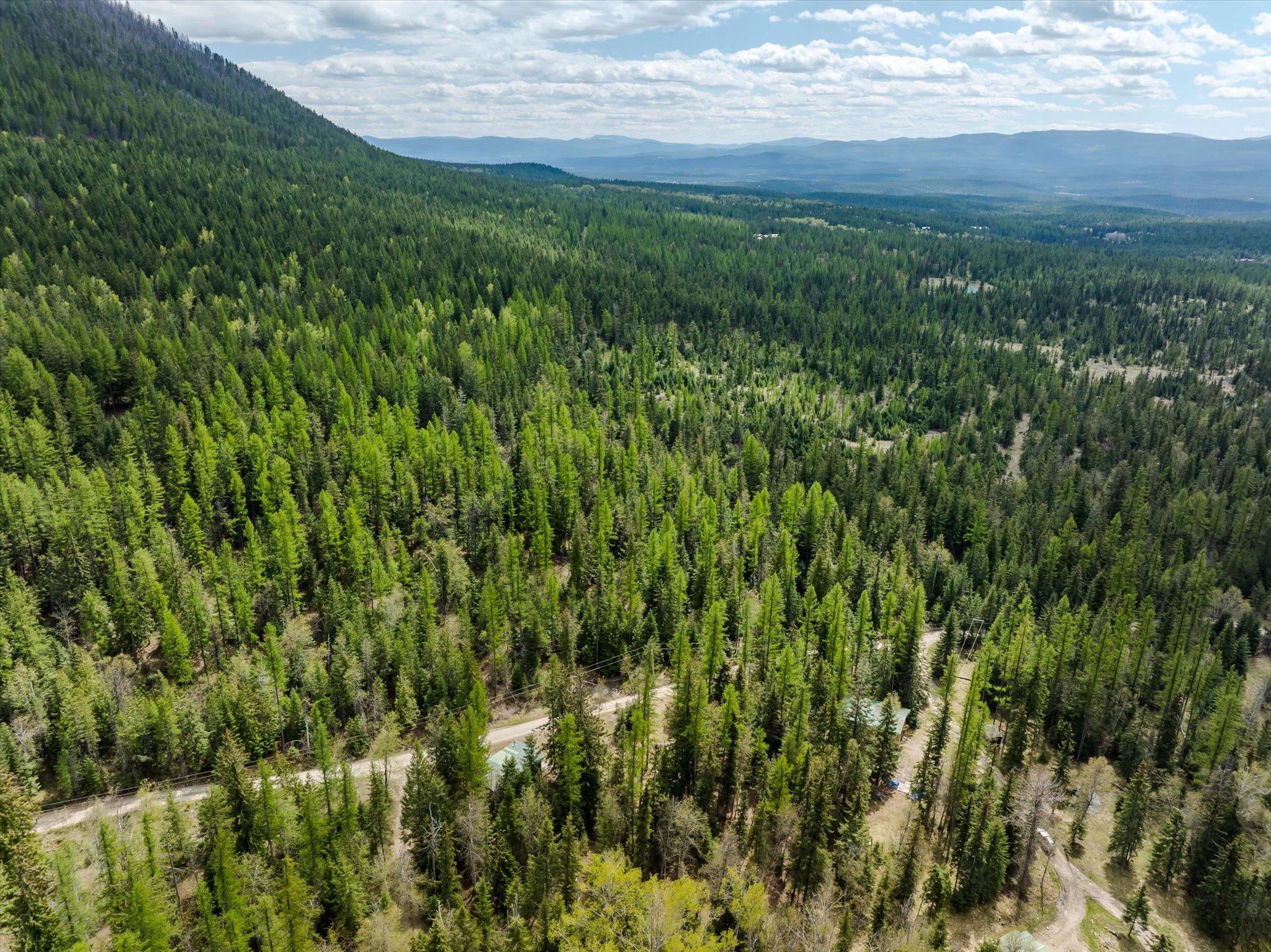 313 Griffith Creek Road