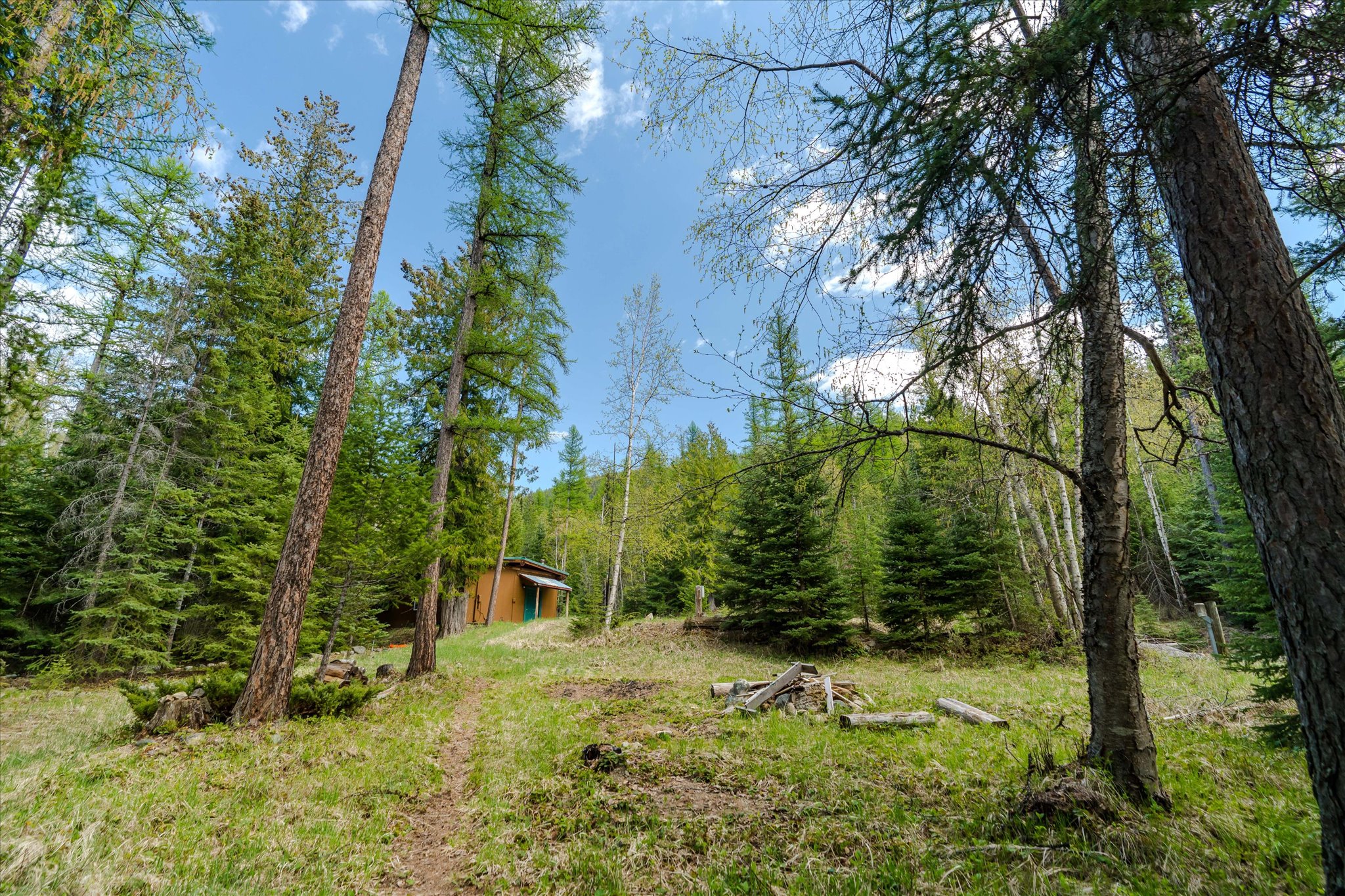 313 Griffith Creek Road