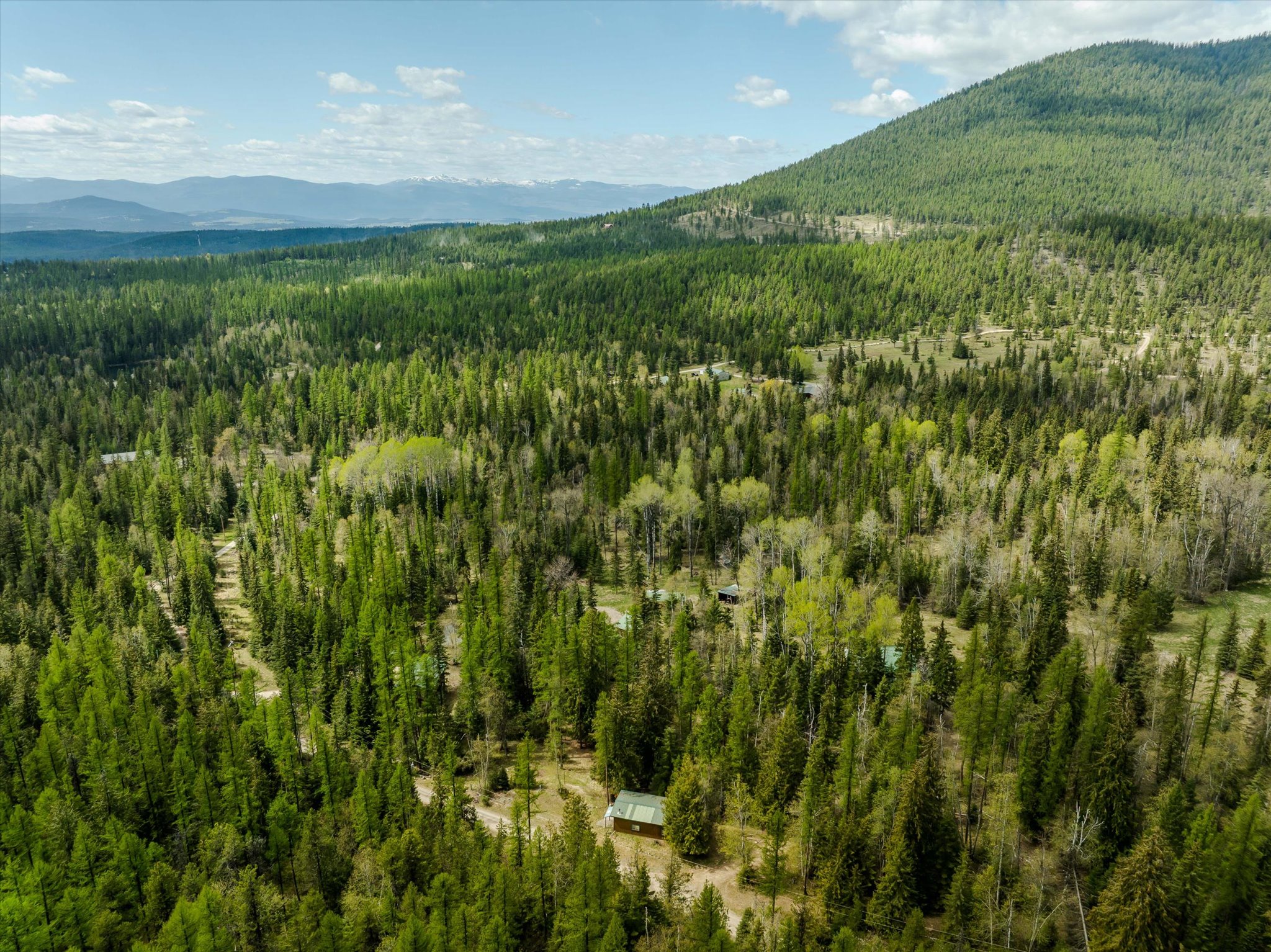 313 Griffith Creek Road