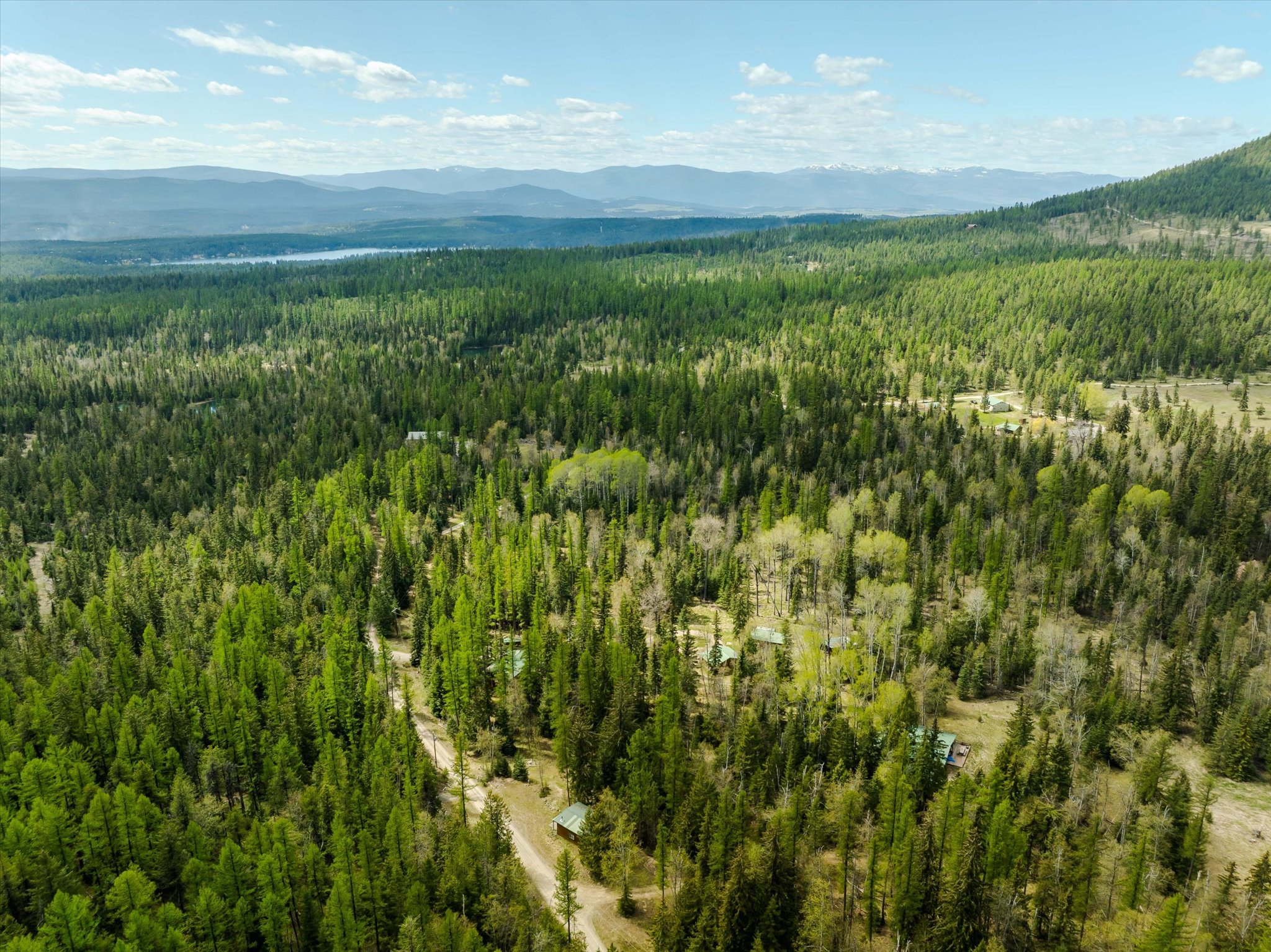 313 Griffith Creek Road