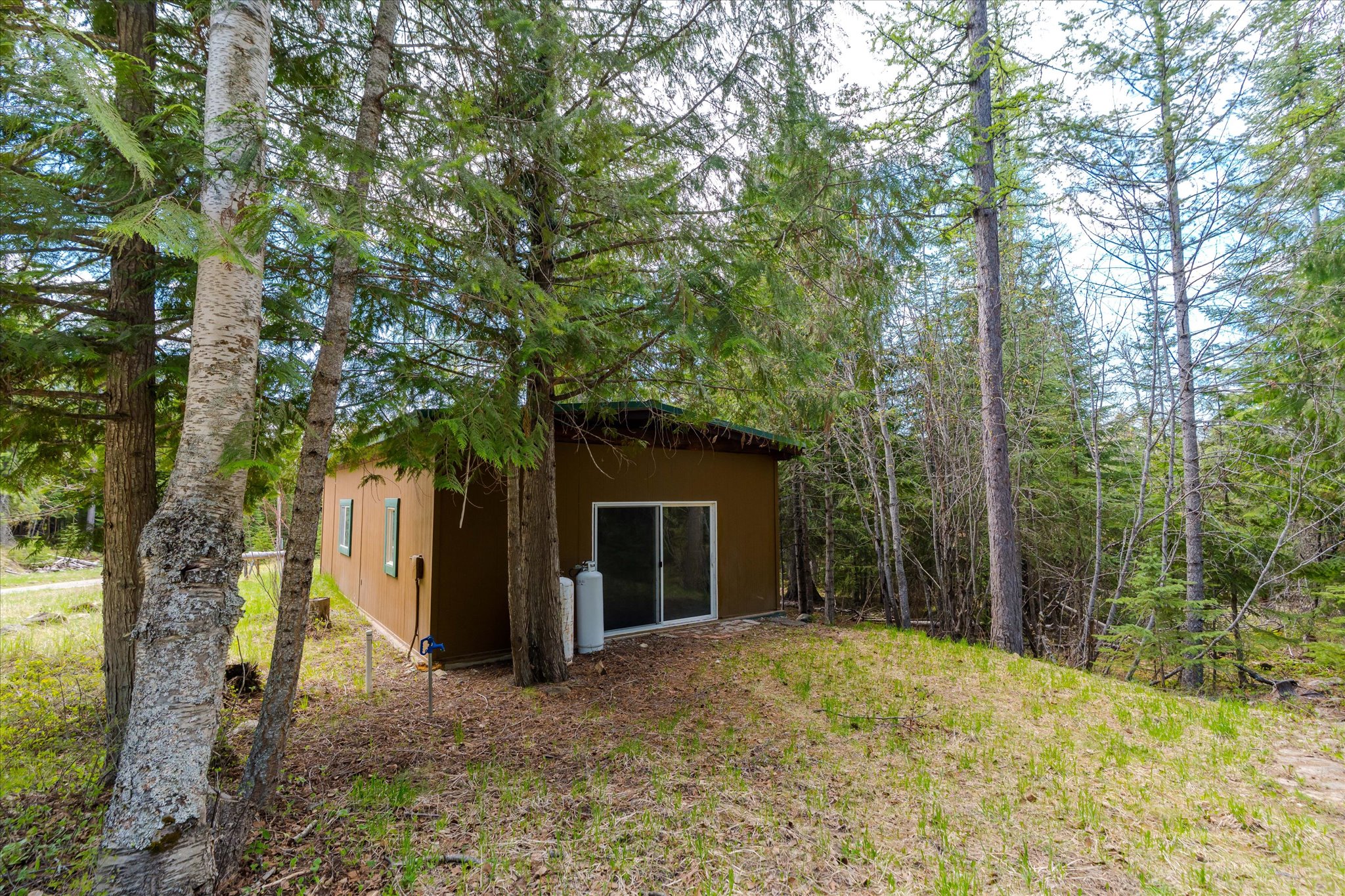313 Griffith Creek Road