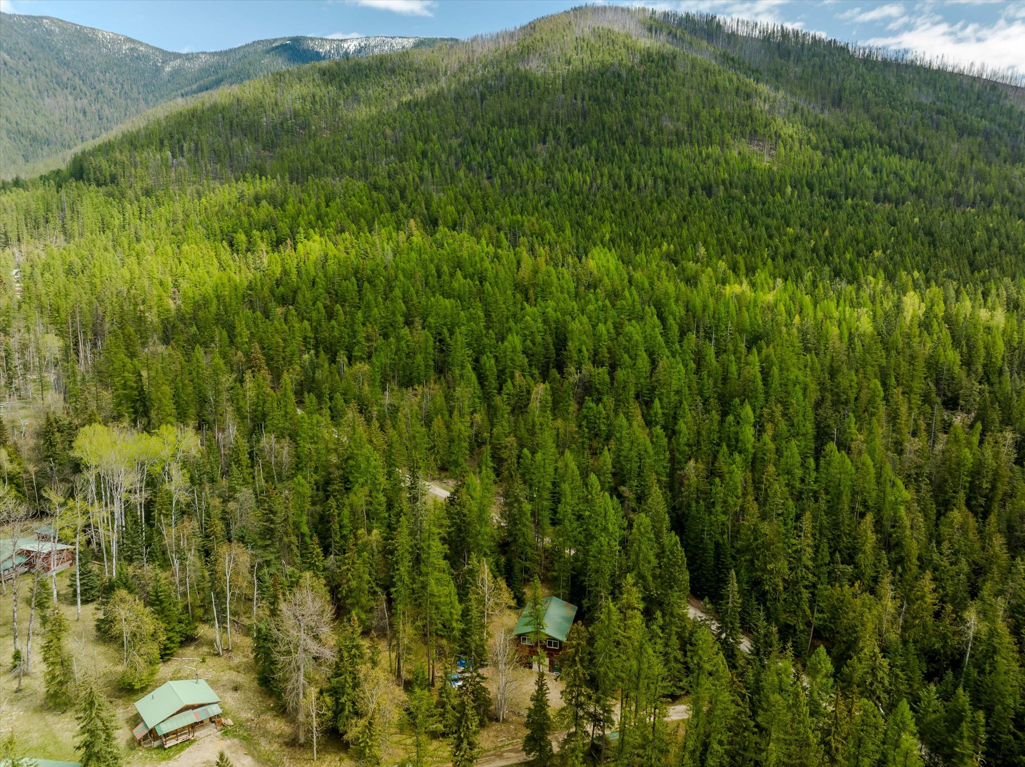 313 Griffith Creek Road