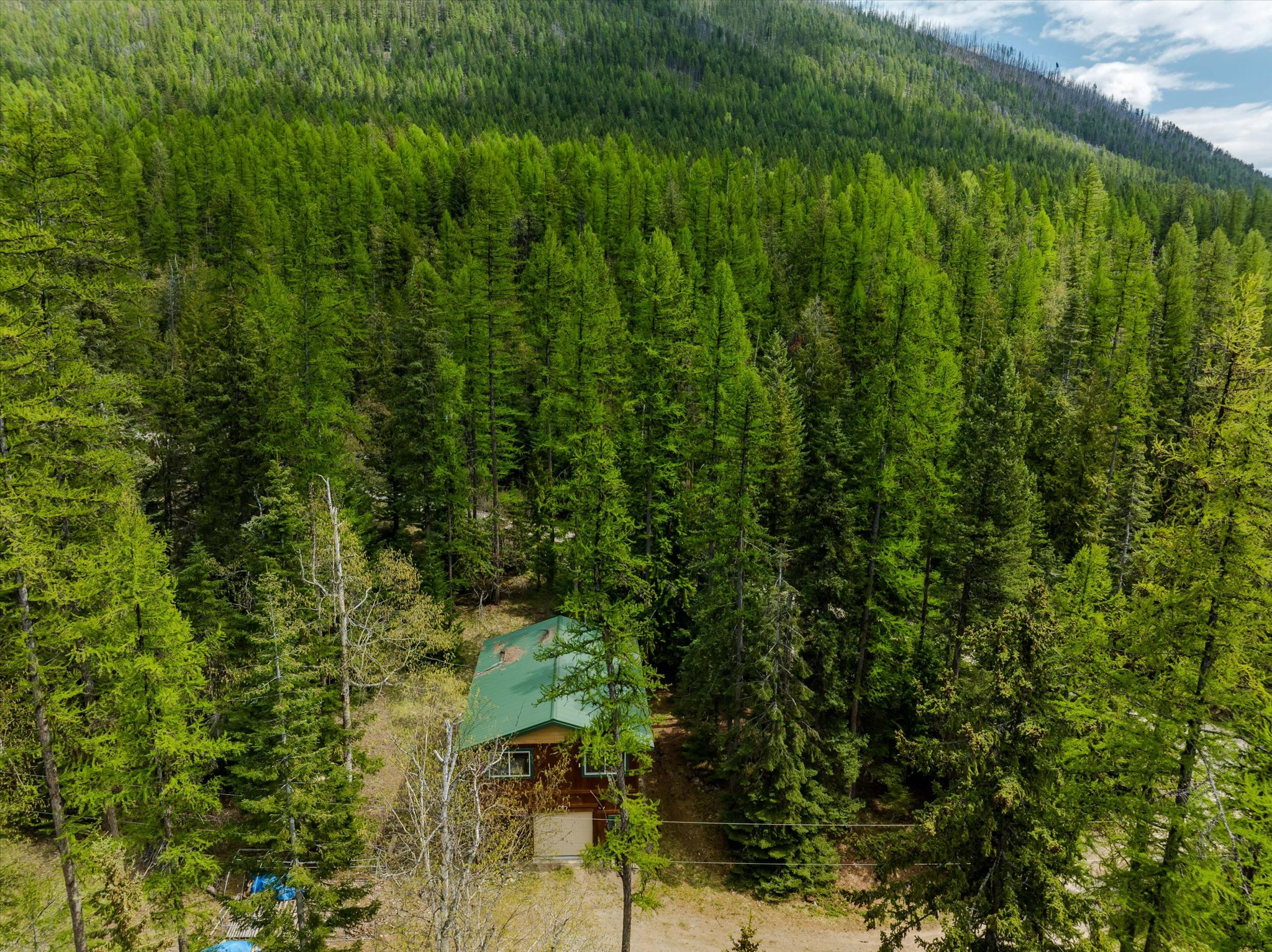 313 Griffith Creek Road