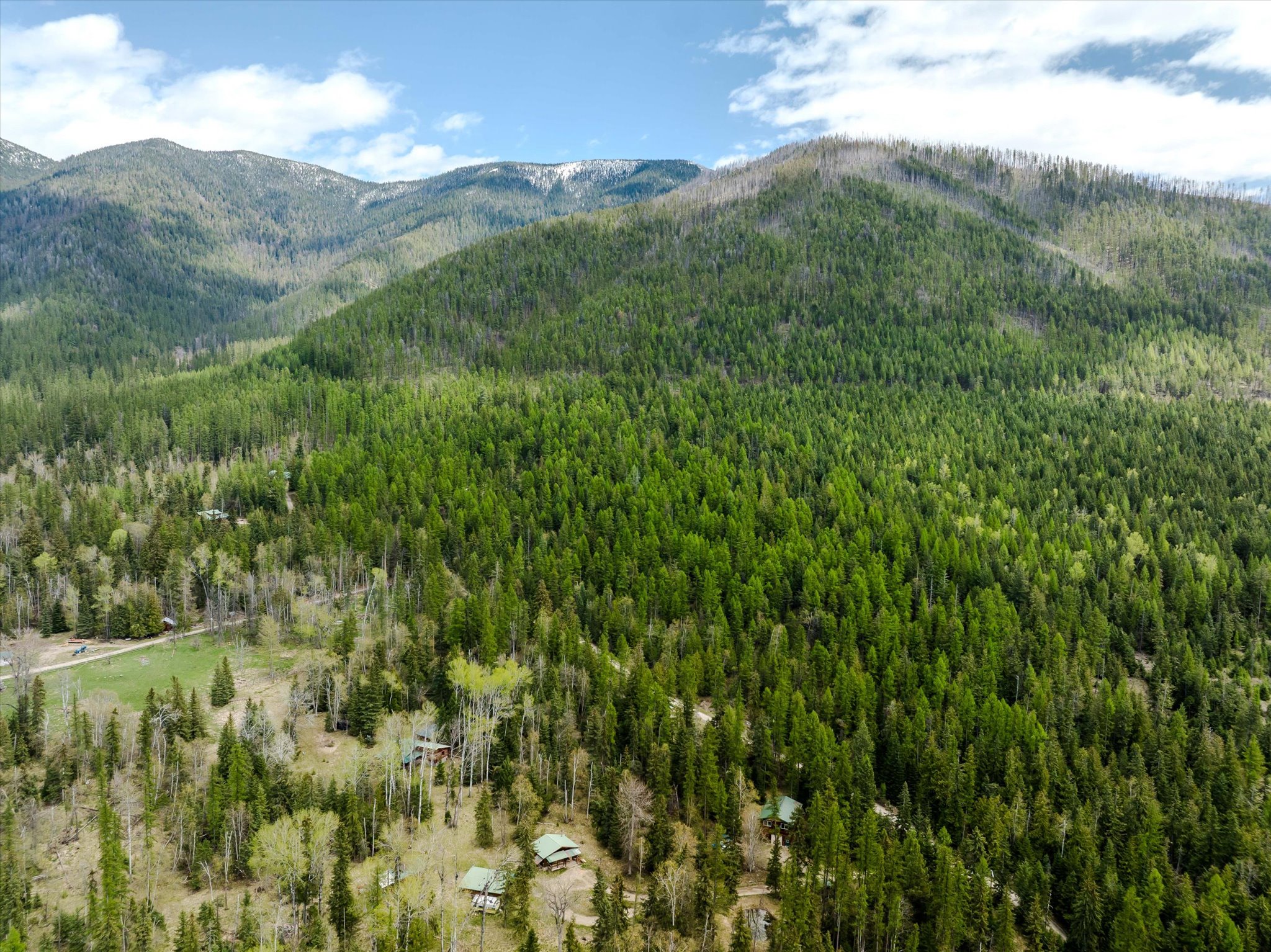 313 Griffith Creek Road