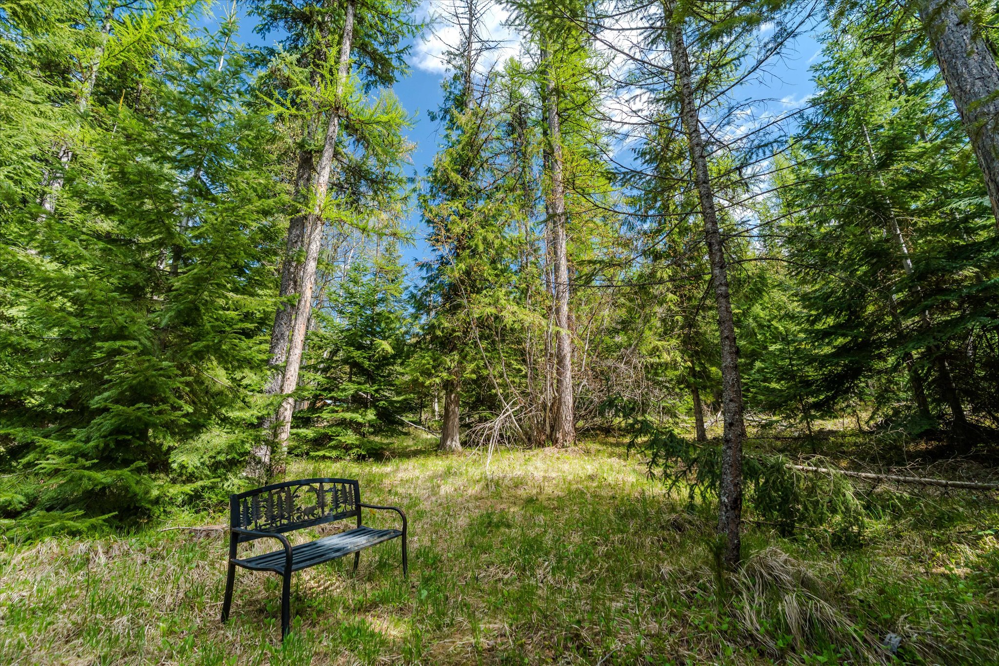 313 Griffith Creek Road