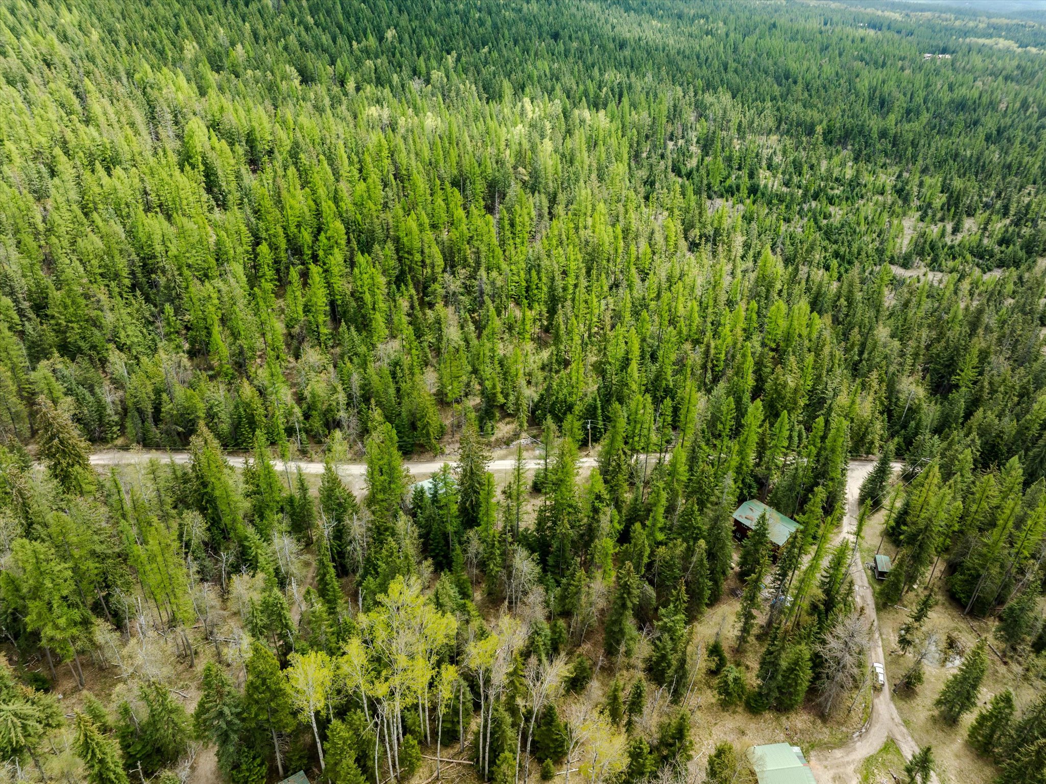 313 Griffith Creek Road