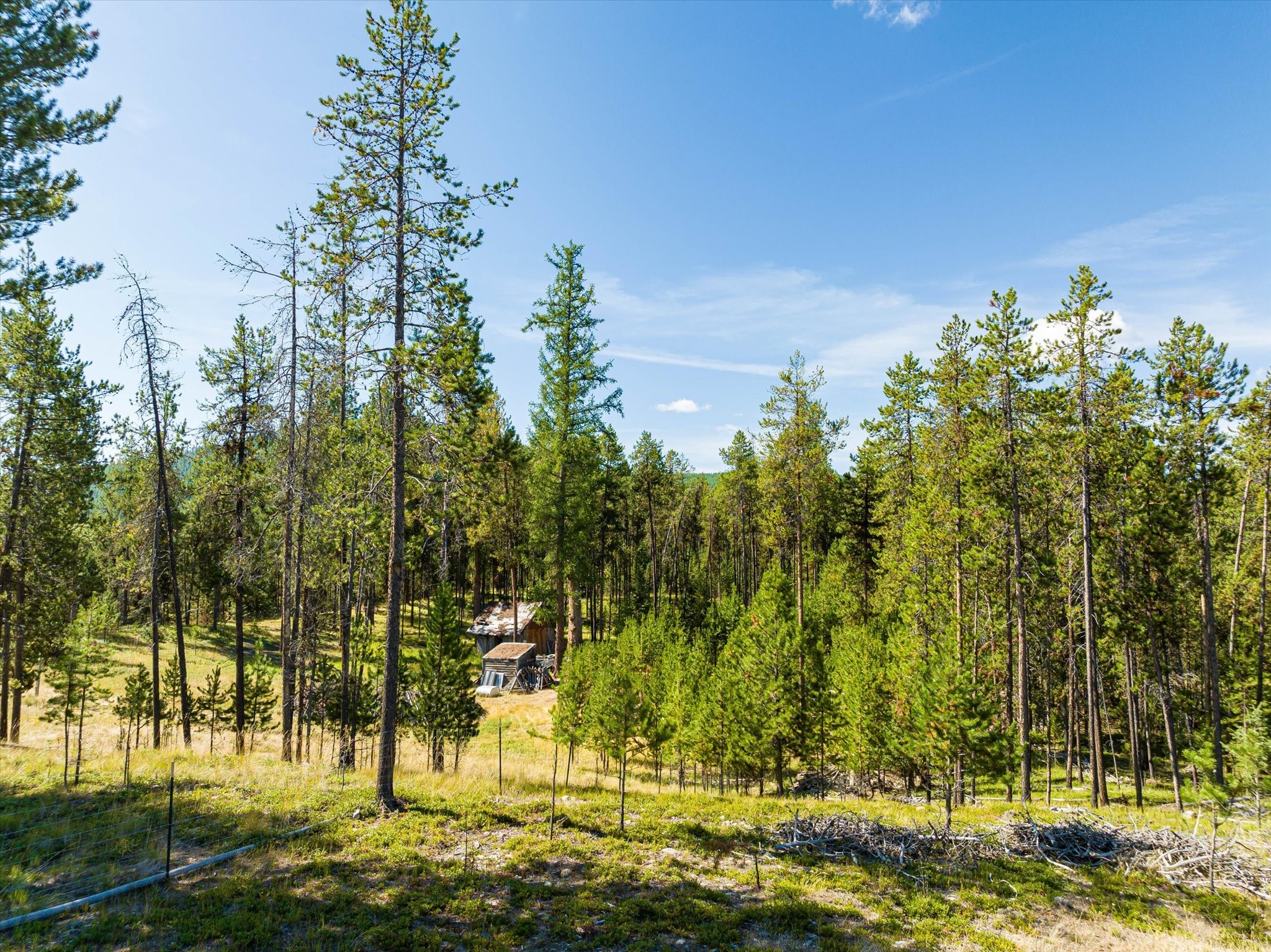 506 Badger Hollow Trail