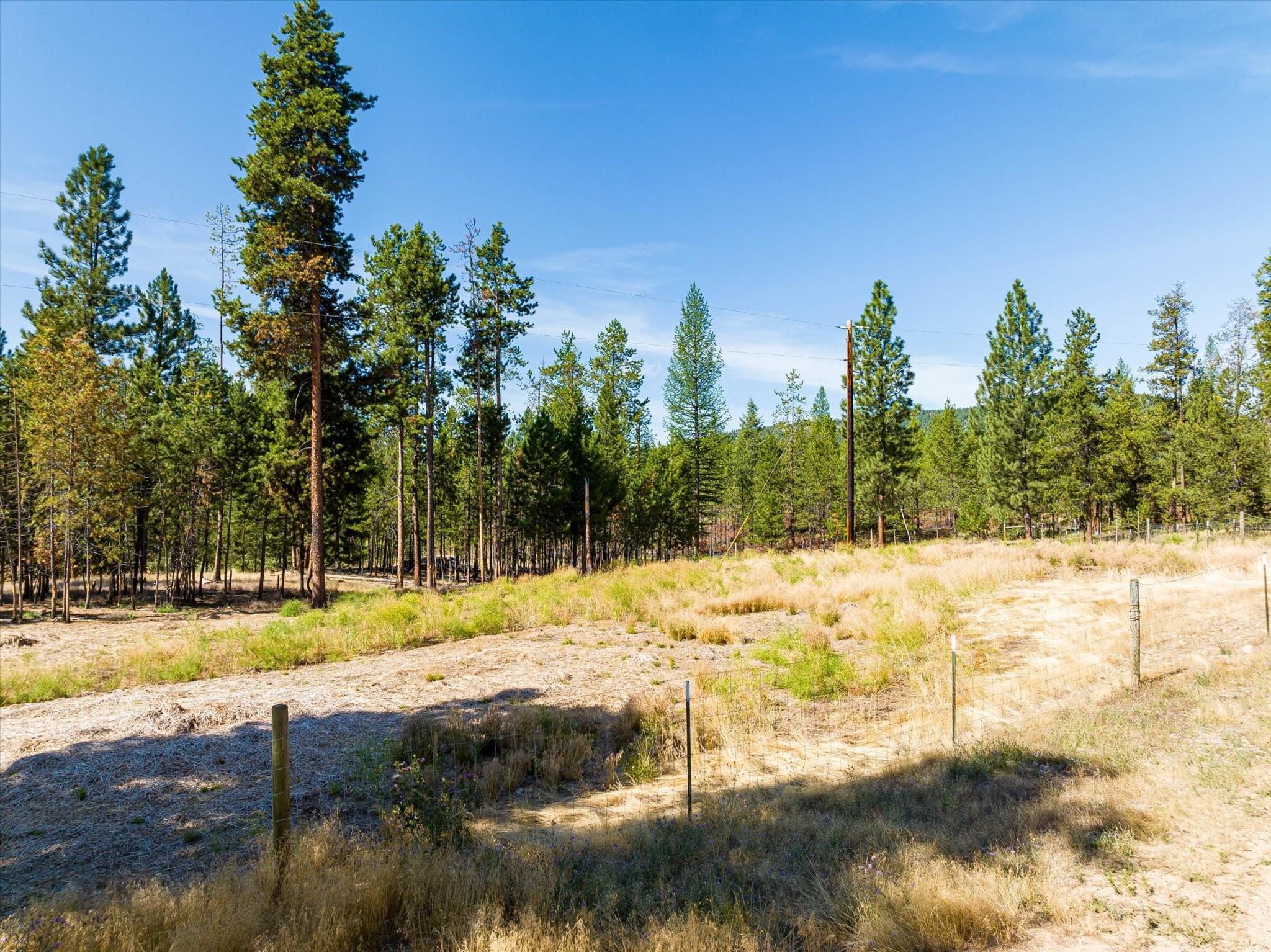 506 Badger Hollow Trail