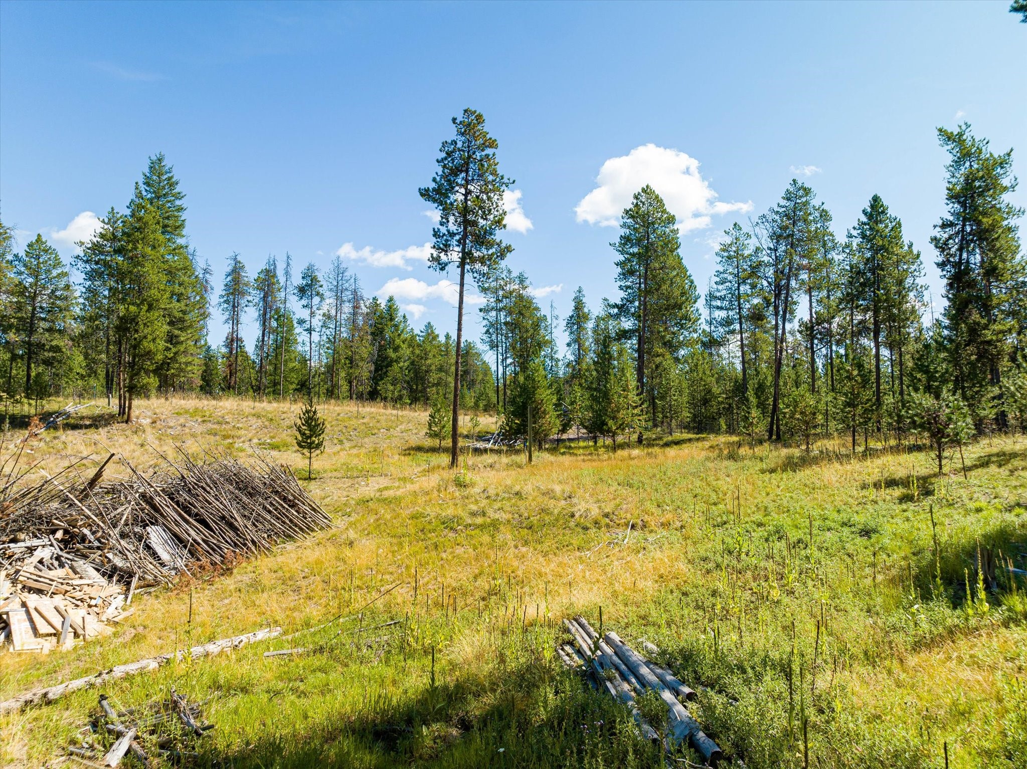 506 Badger Hollow Trail