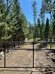 506 Badger Hollow Trail
