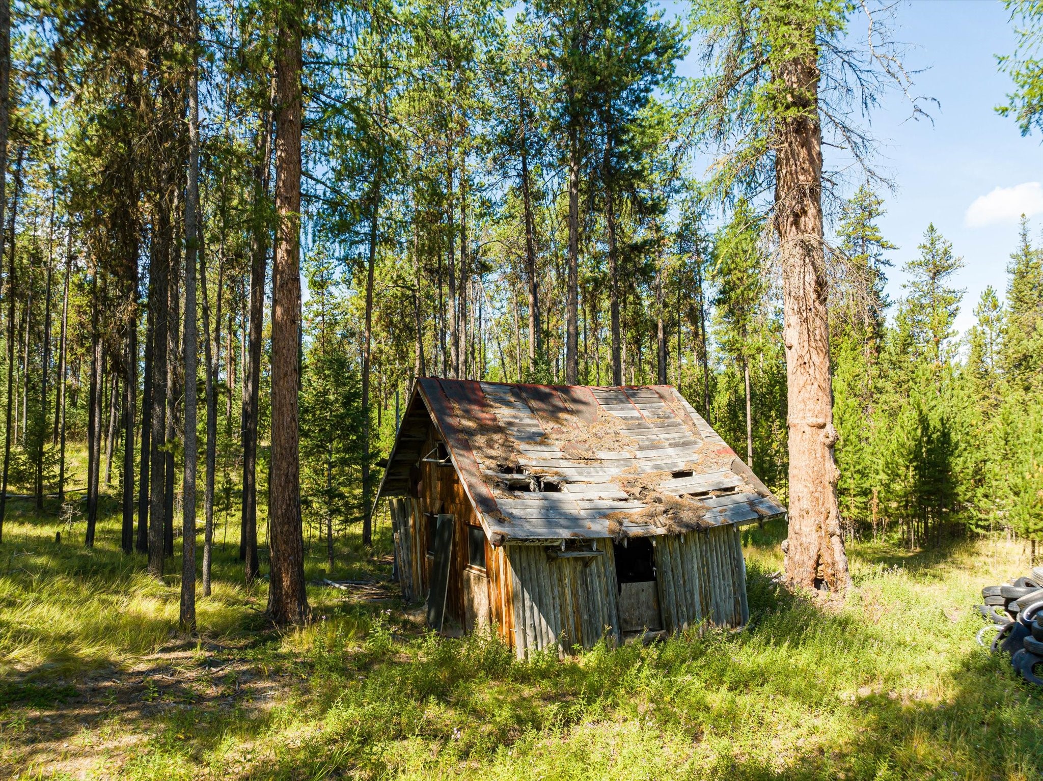 506 Badger Hollow Trail