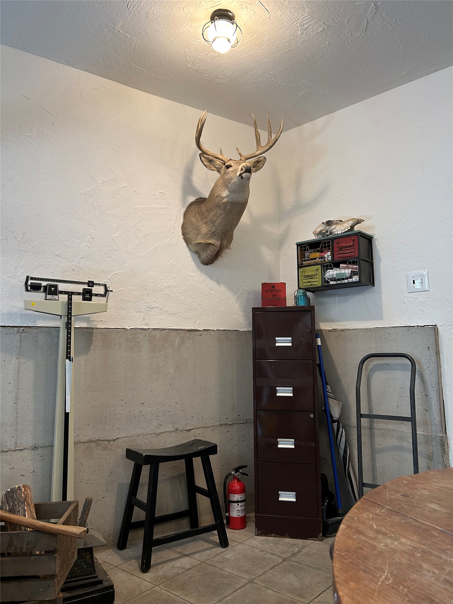 506 Badger Hollow Trail