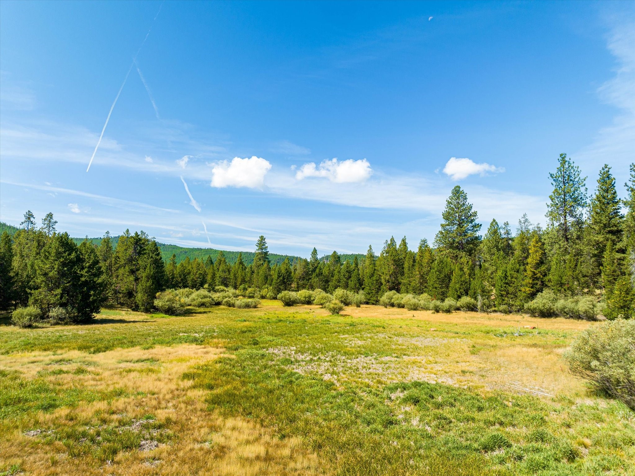 506 Badger Hollow Trail