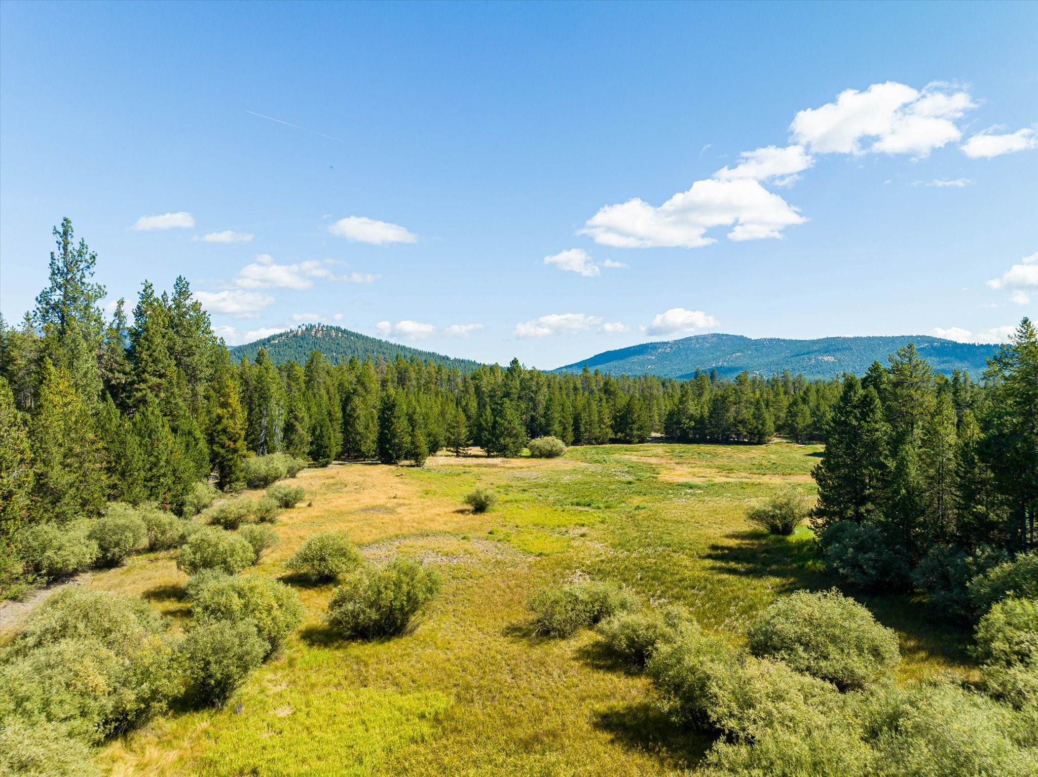 506 Badger Hollow Trail