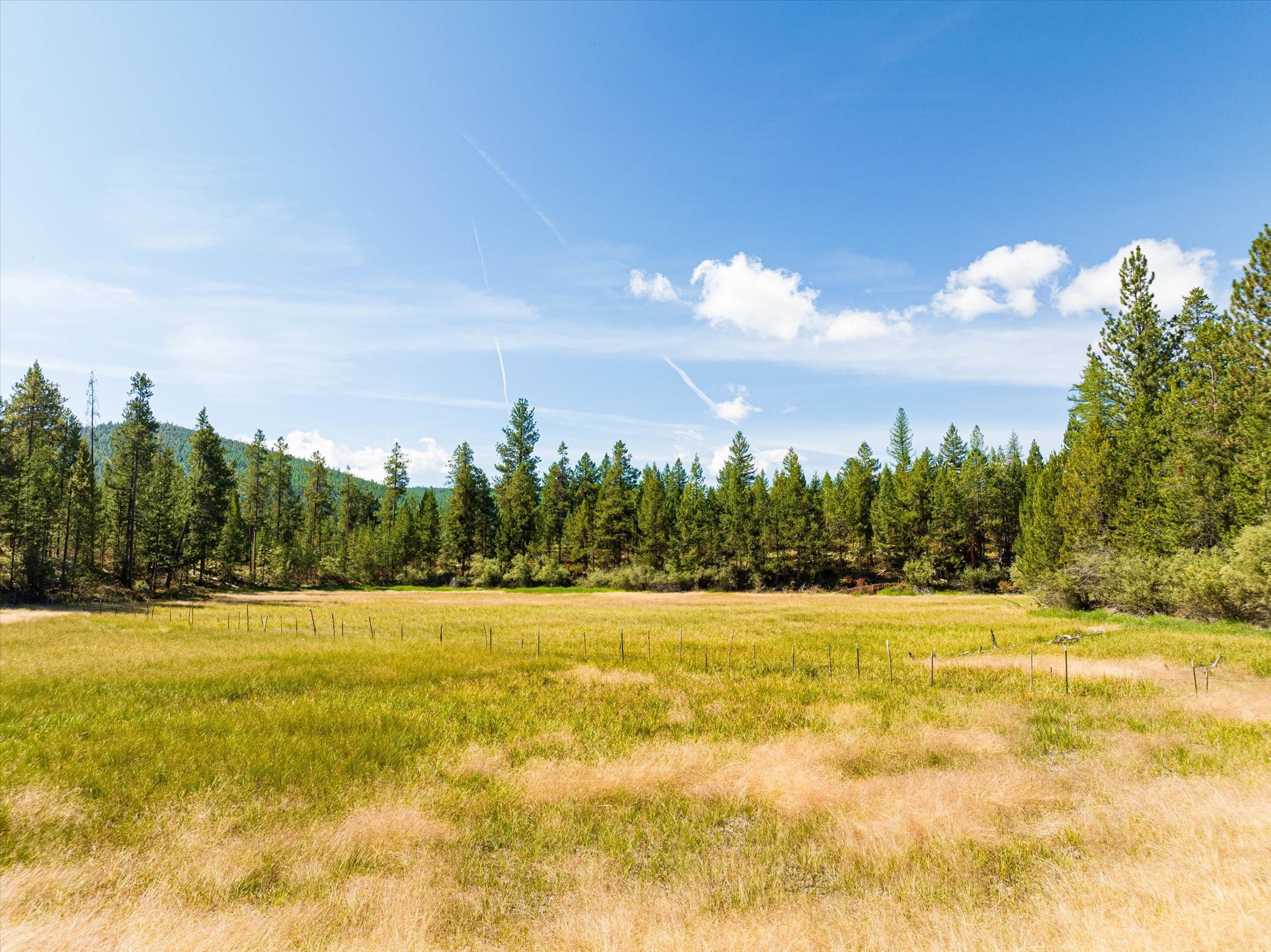 506 Badger Hollow Trail