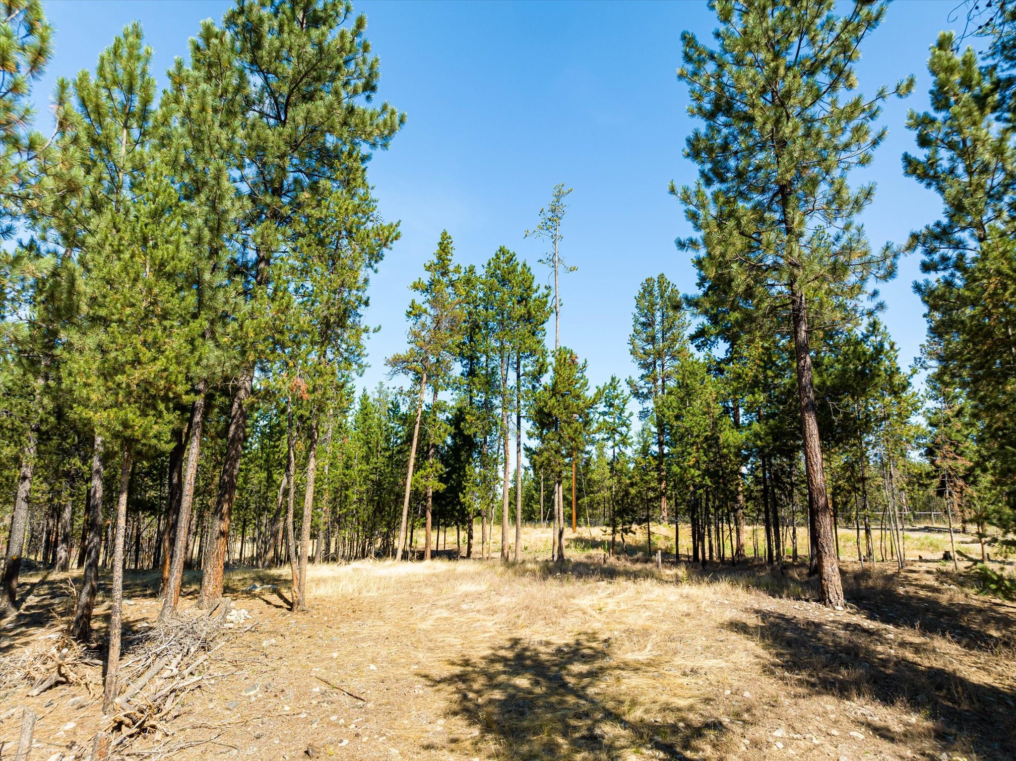 506 Badger Hollow Trail