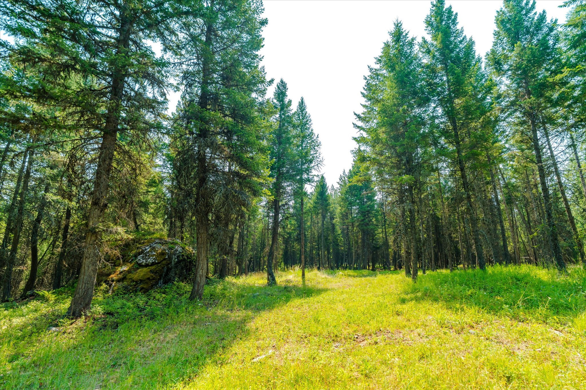 1199 E Mountain Meadows Road