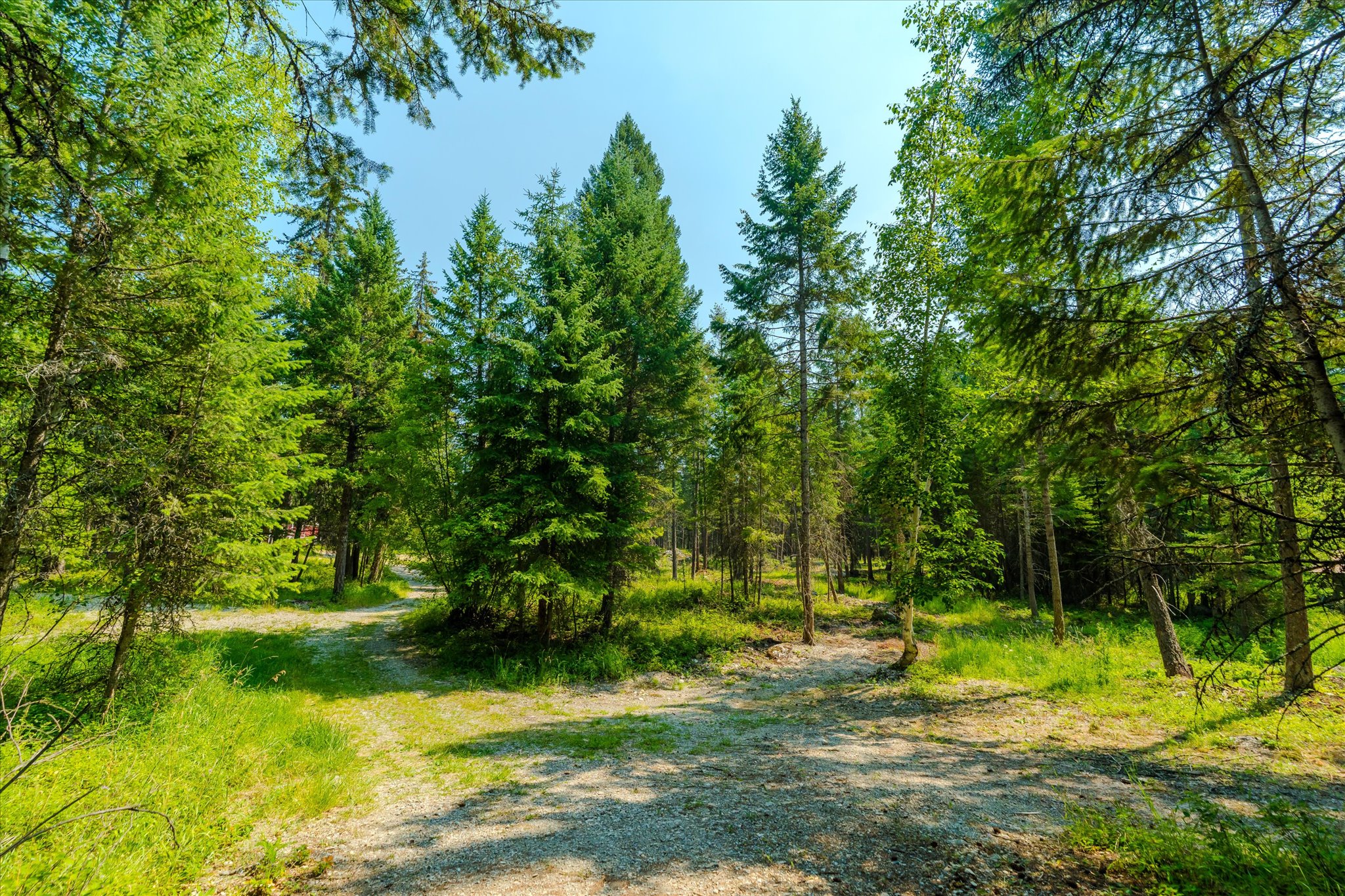 1199 E Mountain Meadows Road