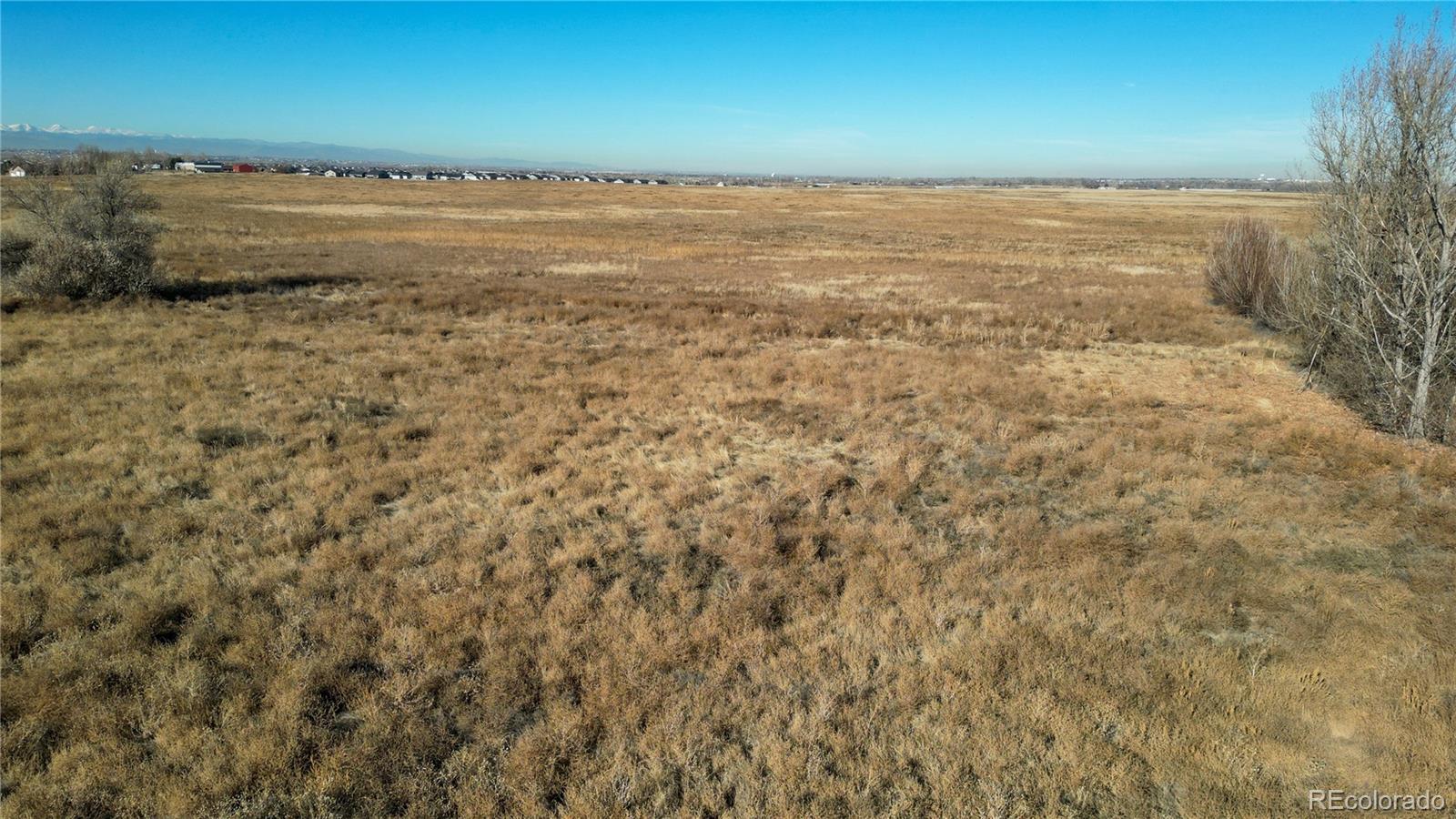 11246 Rifle B Street