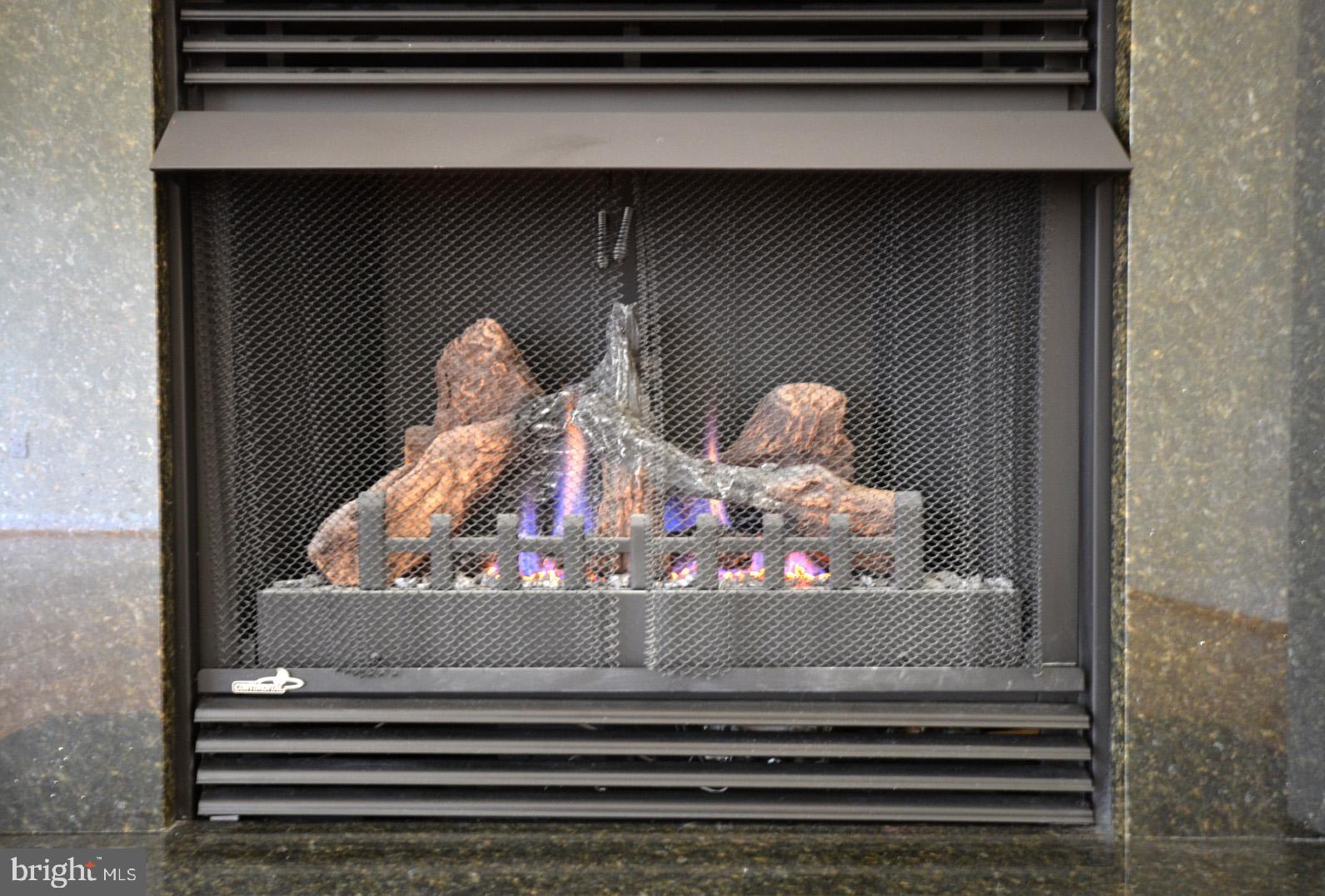 3527 PINEY WOODS PLACE H002